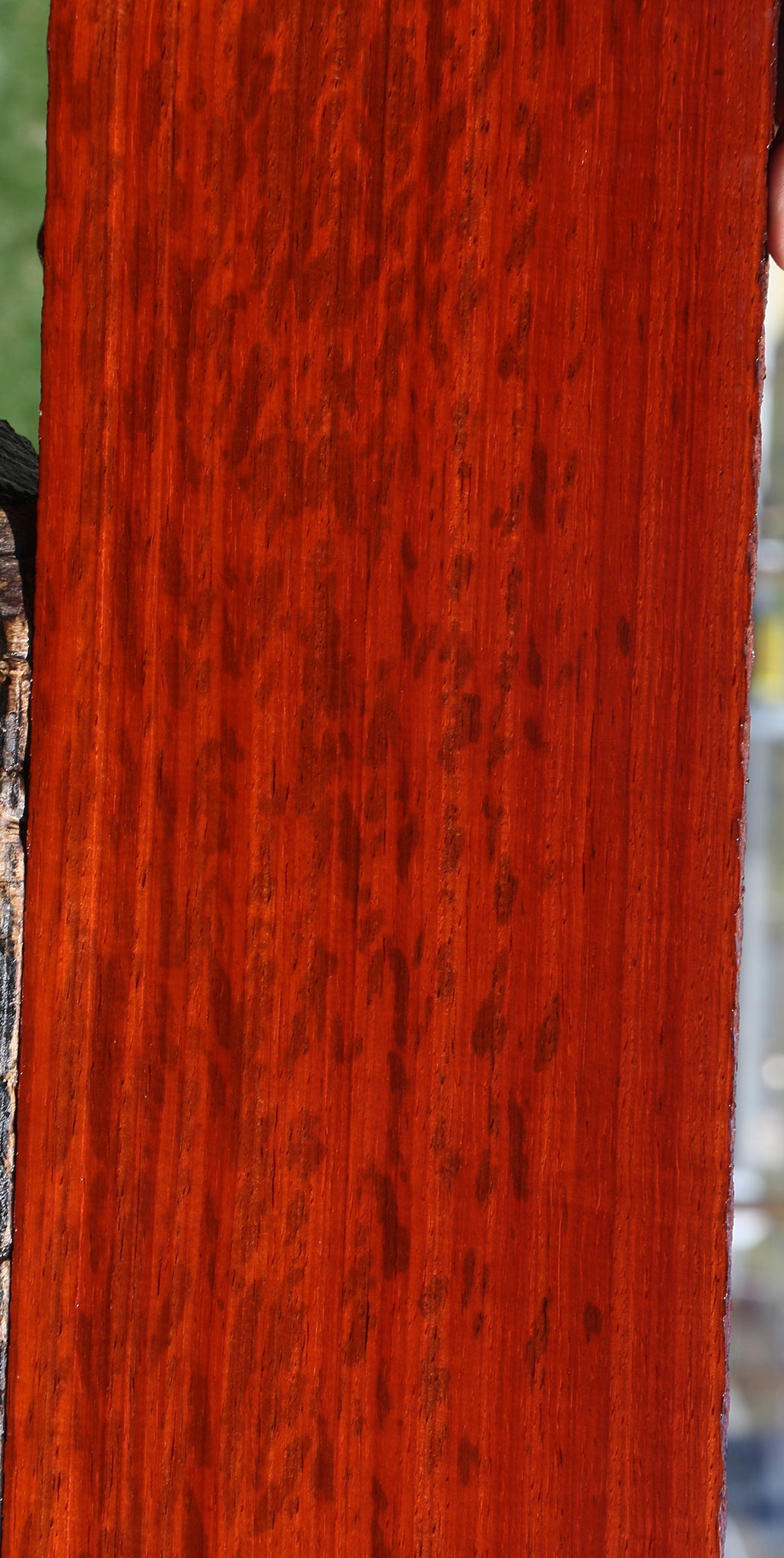 Figured Padauk Lumber
