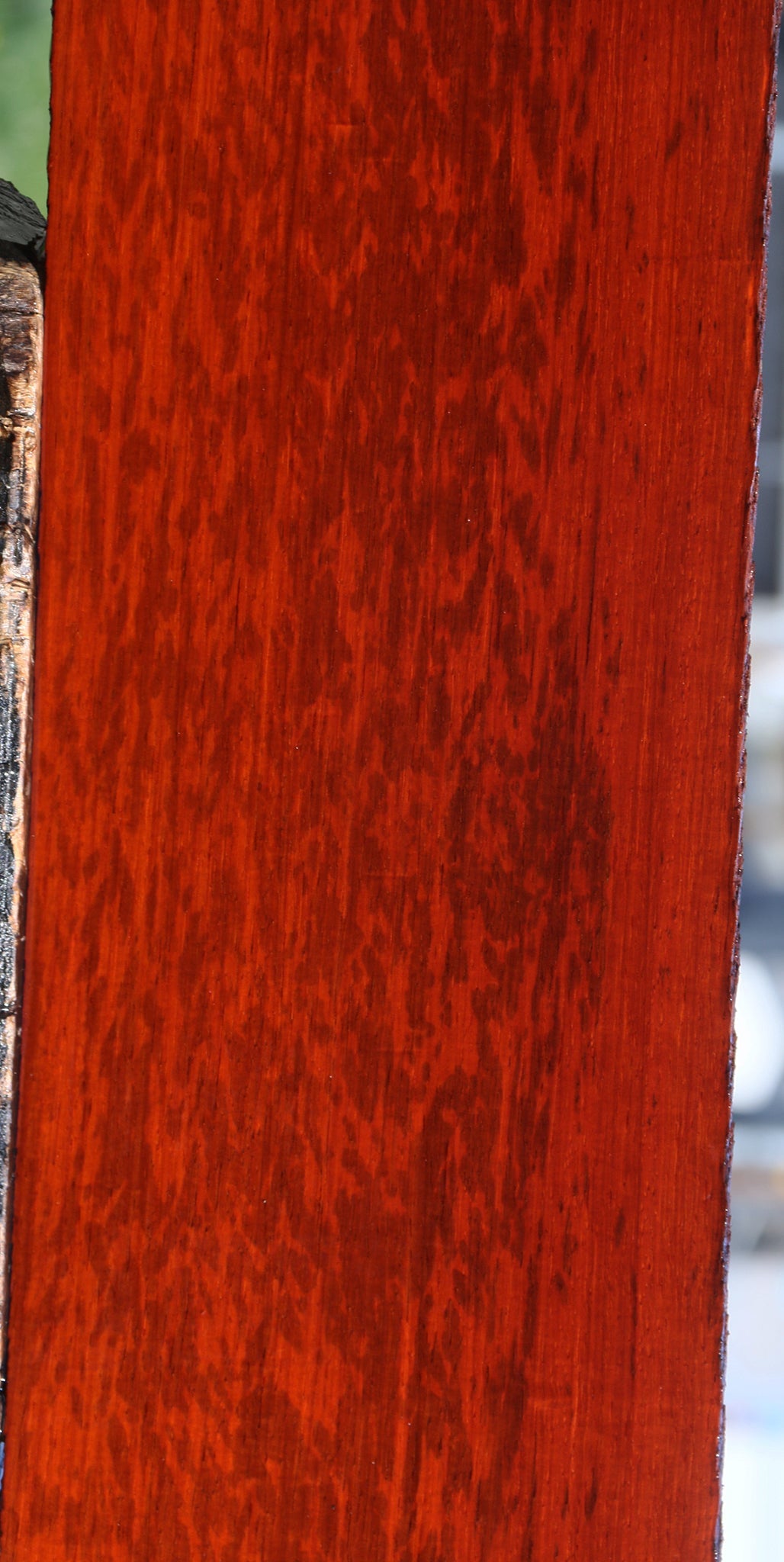 Extra Fancy Padauk Lumber