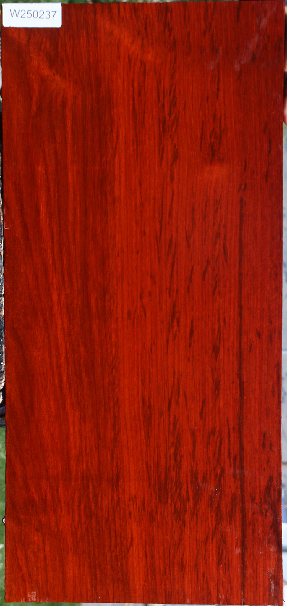 Figured Padauk Lumber