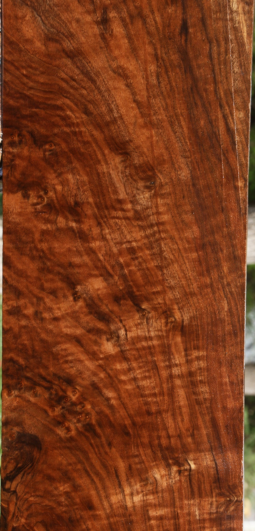 Extra Fancy Claro Walnut Instrument Lumber