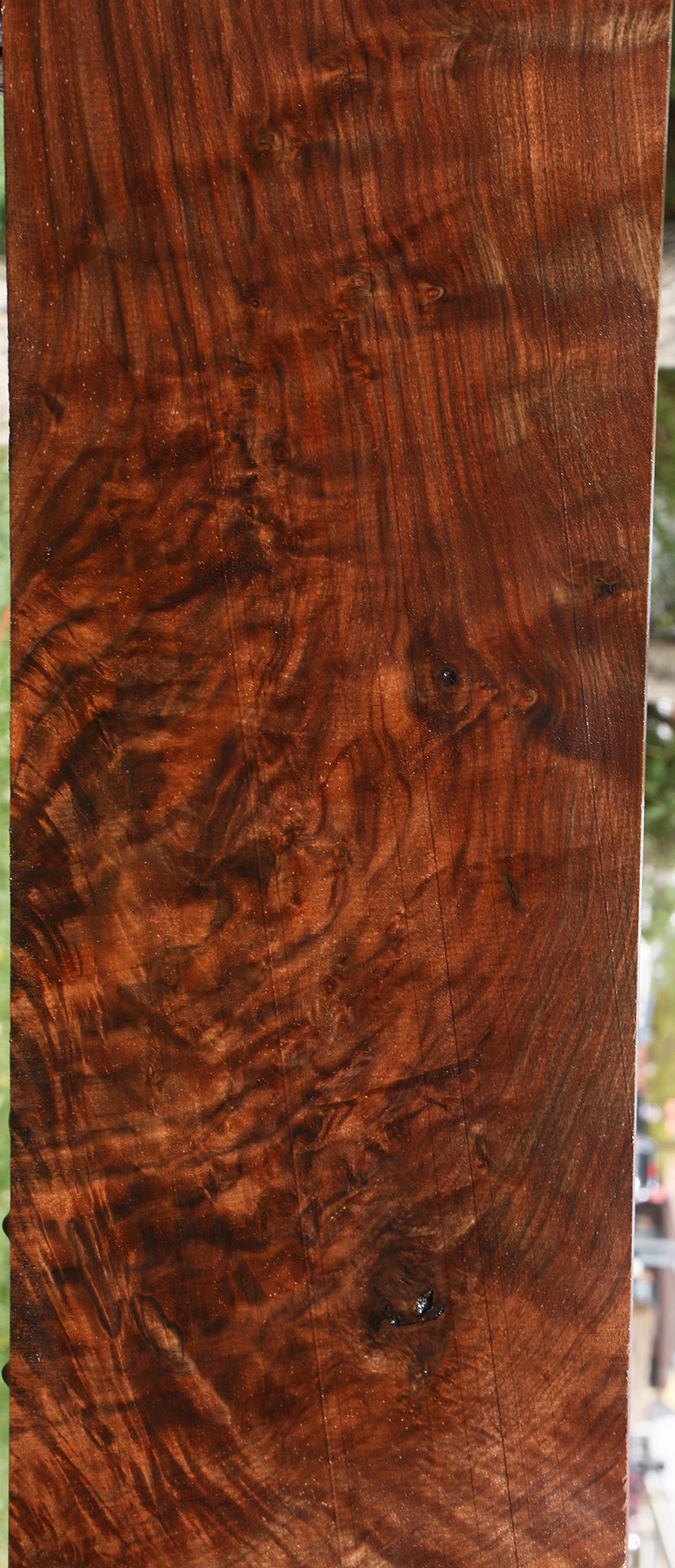 Extra Fancy Claro Walnut Lumber