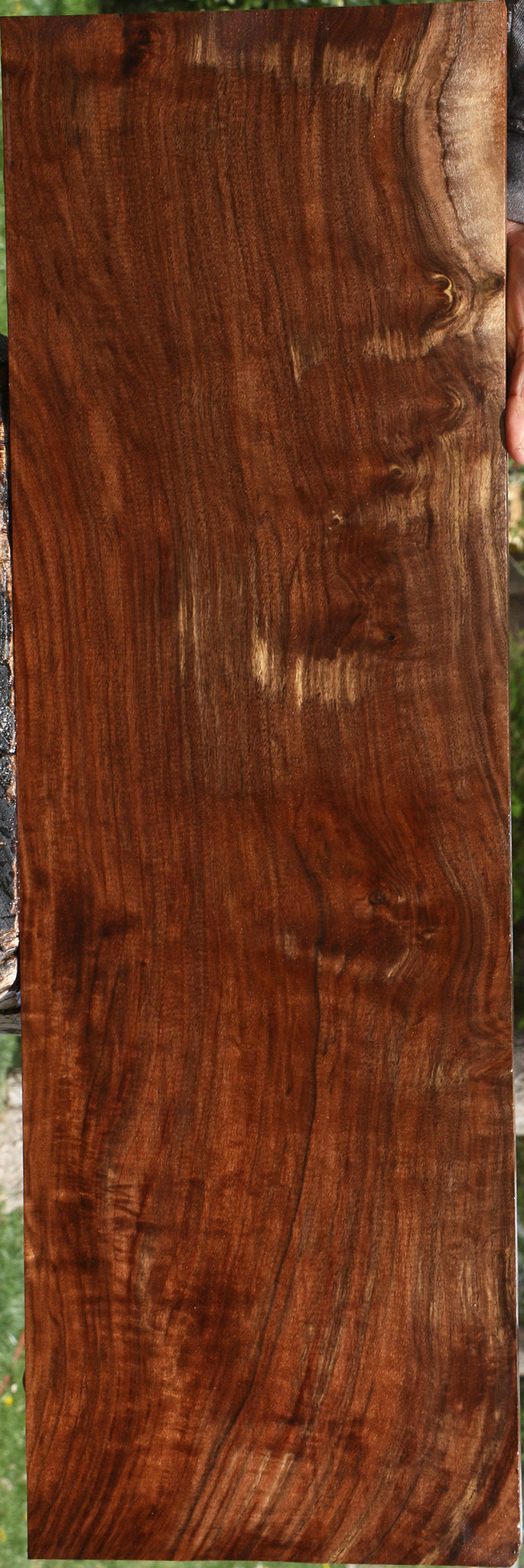 Extra Fancy Claro Walnut Lumber
