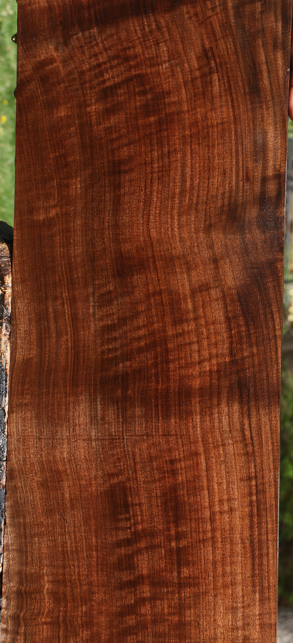 Extra Fancy Claro Walnut Lumber
