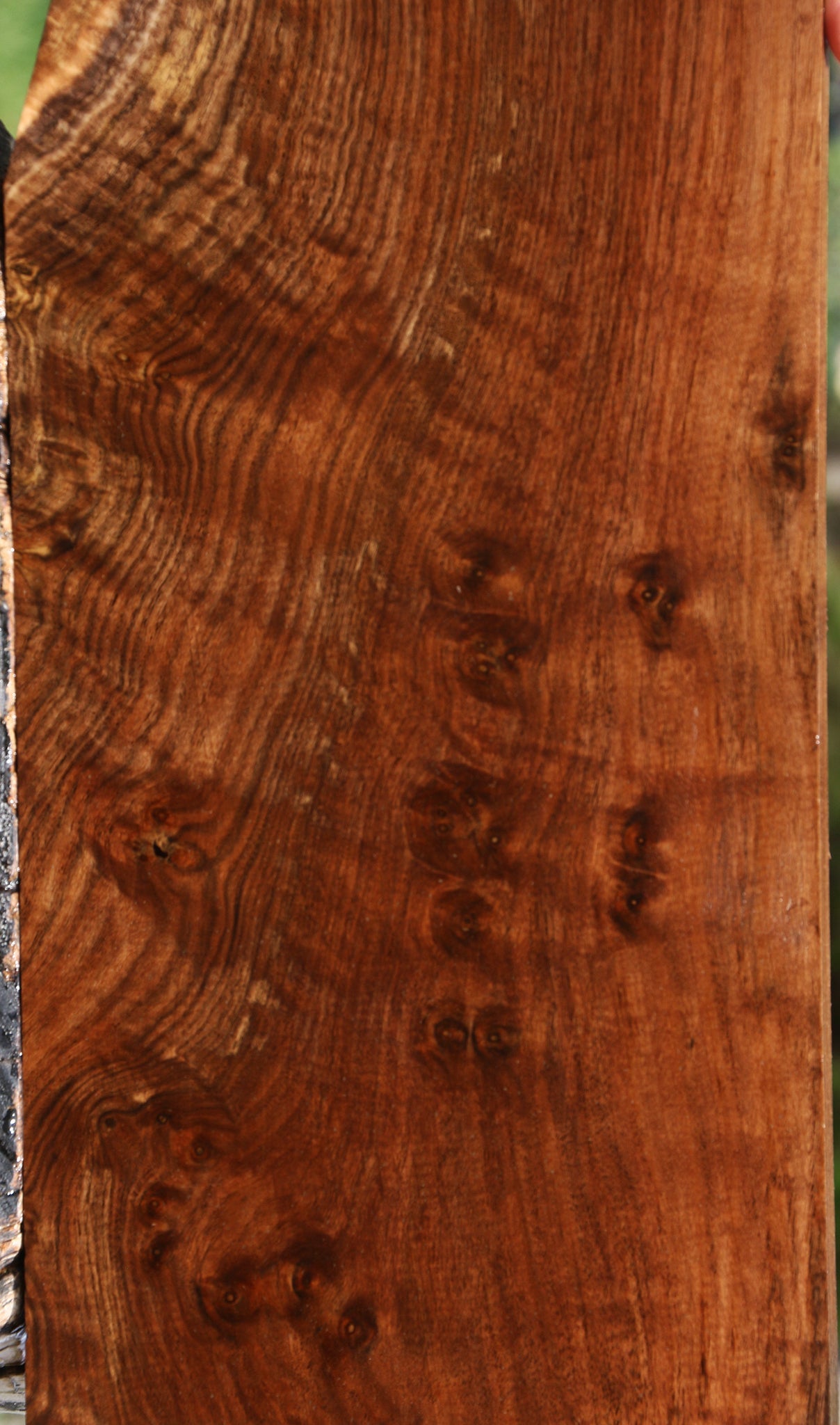 Extra Fancy Claro Walnut Instrument Lumber
