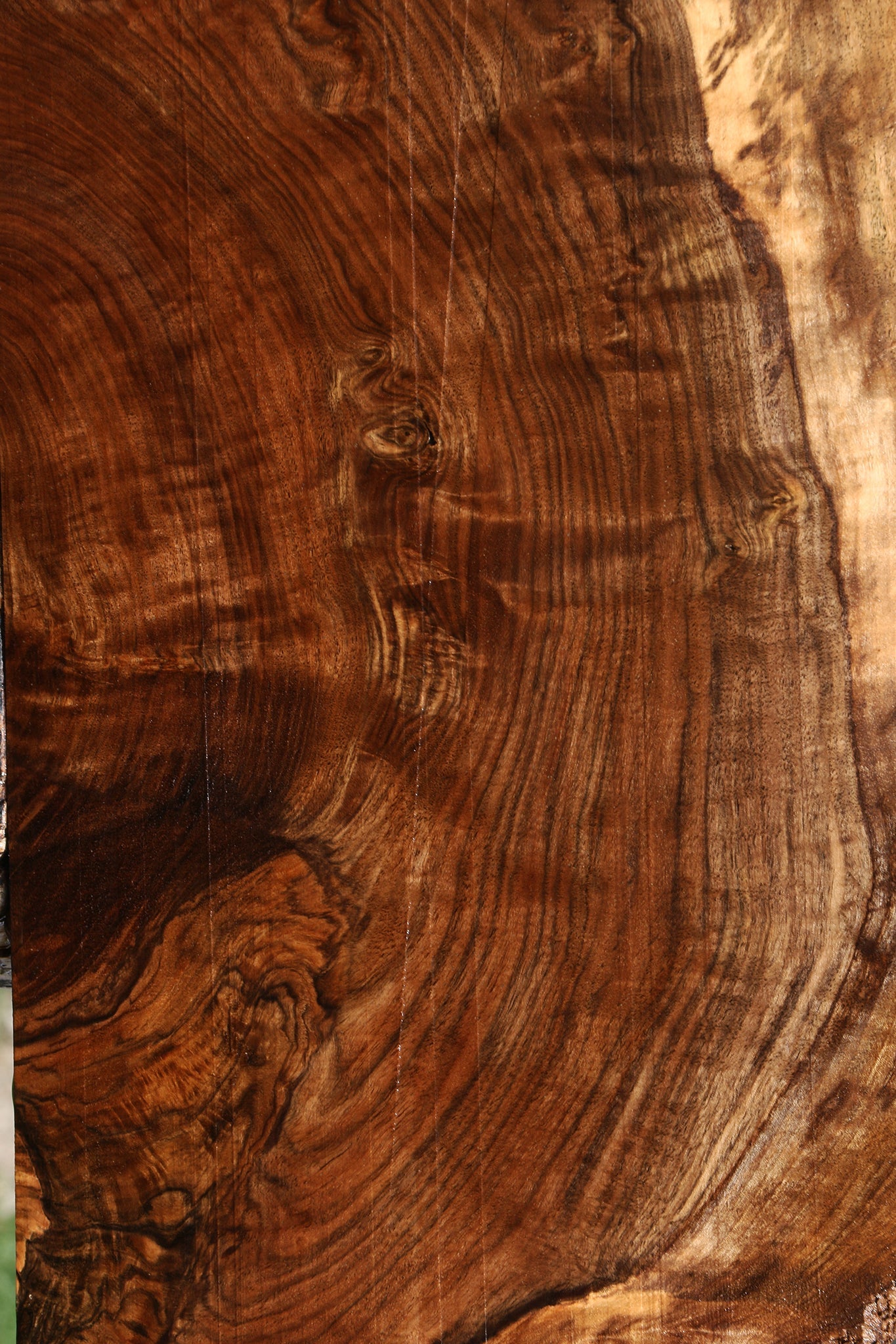 Extra Fancy Claro Live Edge Walnut Lumber