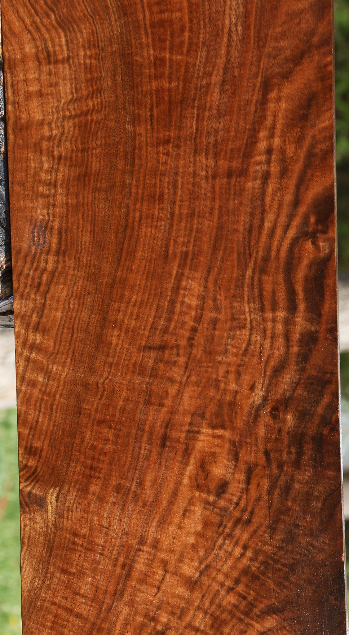 Extra Fancy Claro Walnut Lumber