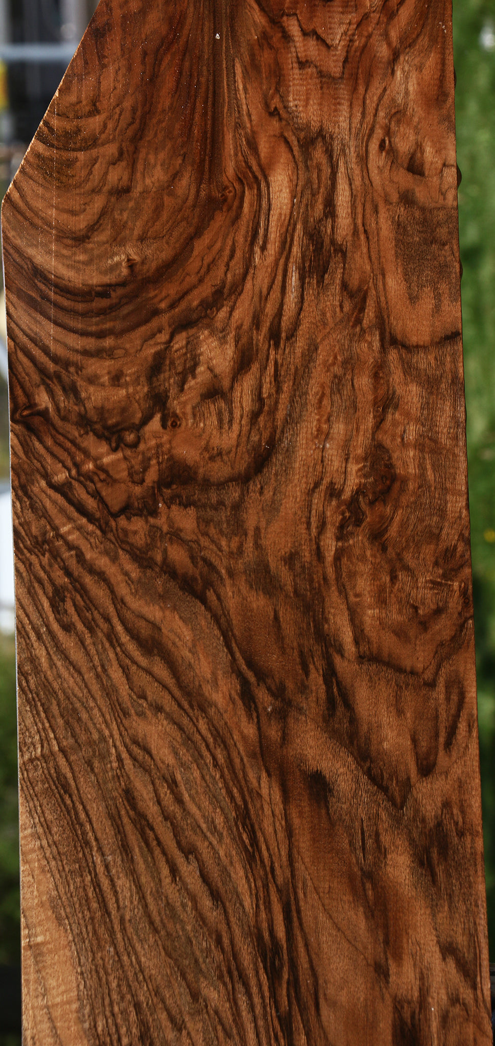 Exhibition English Walnut Instrument Lumber