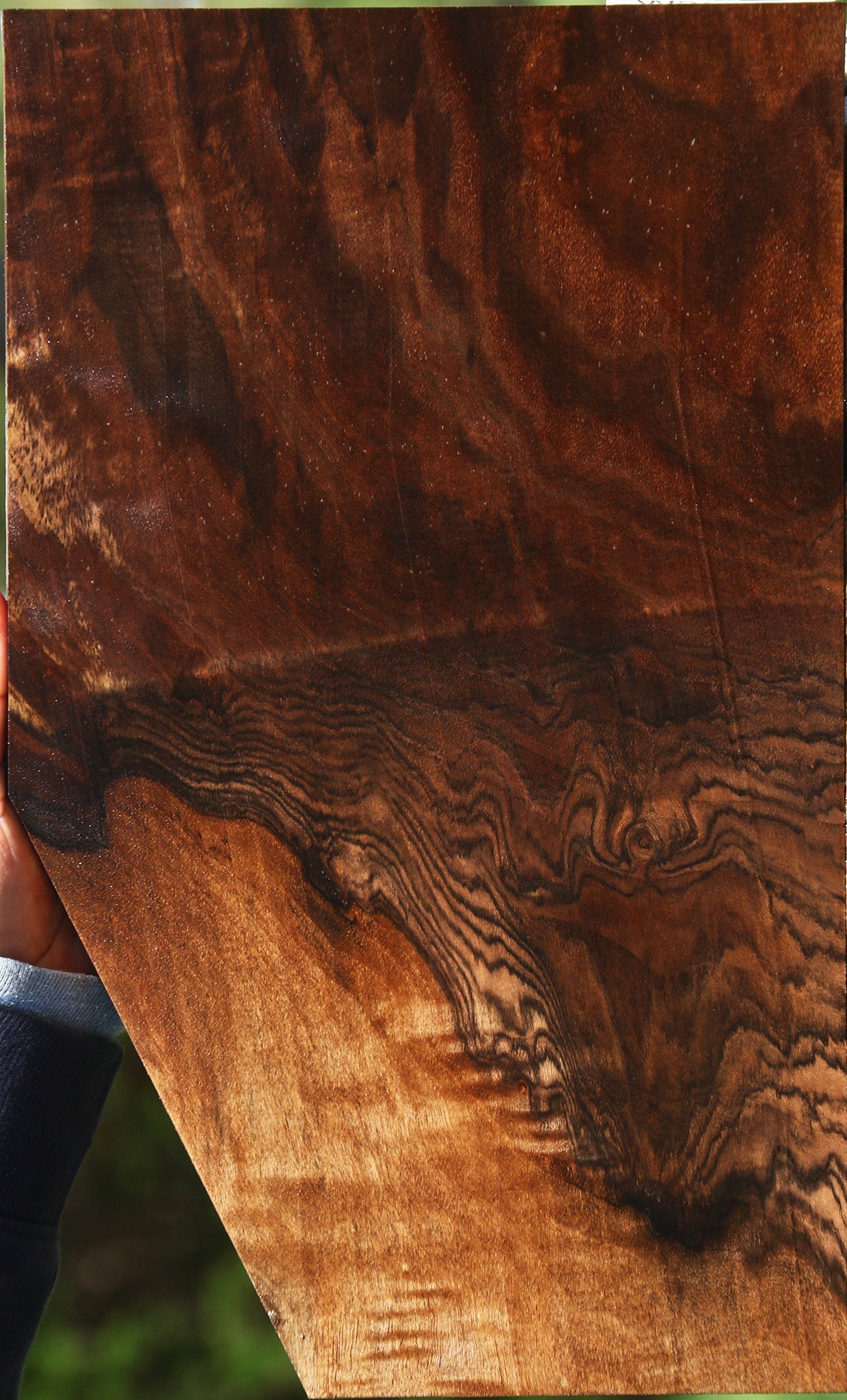 Extra Fancy English Walnut Lumber