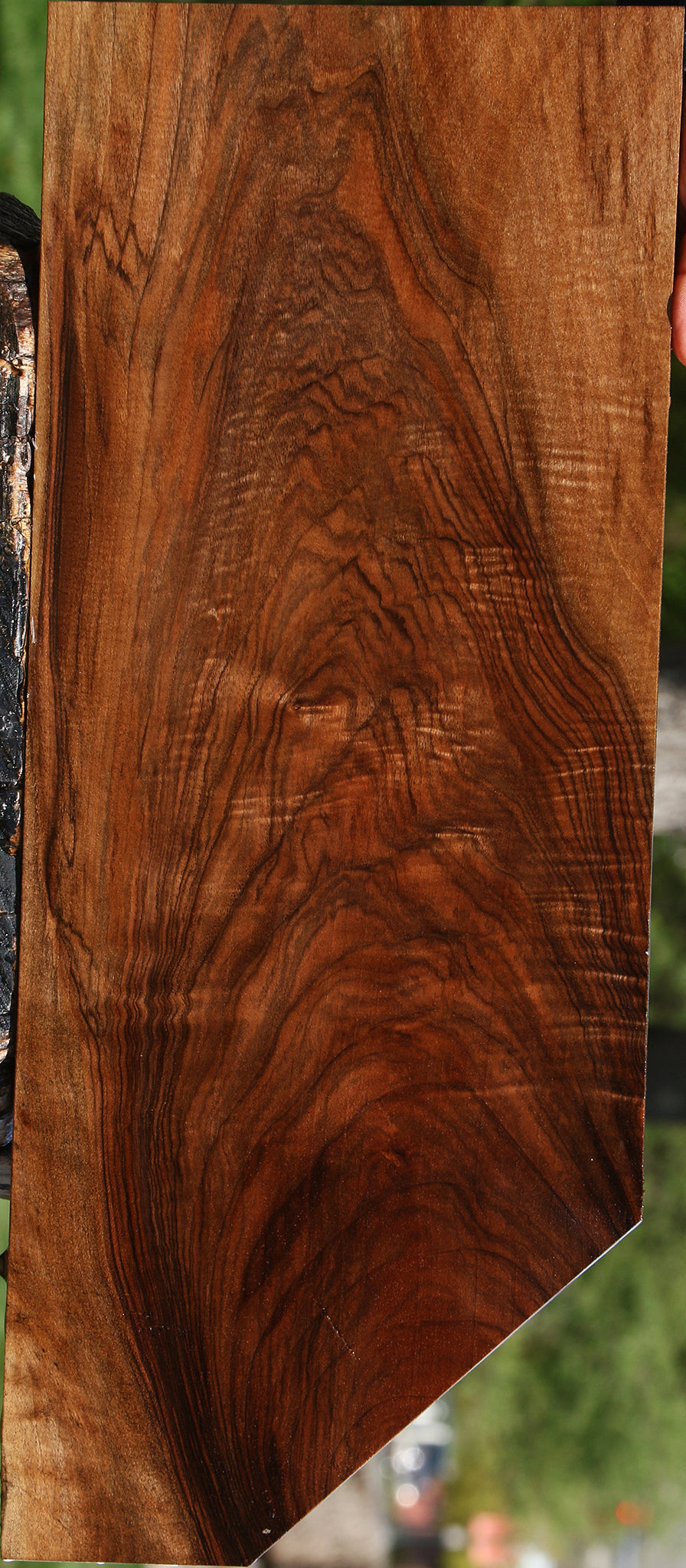 Extra Fancy English Walnut Lumber