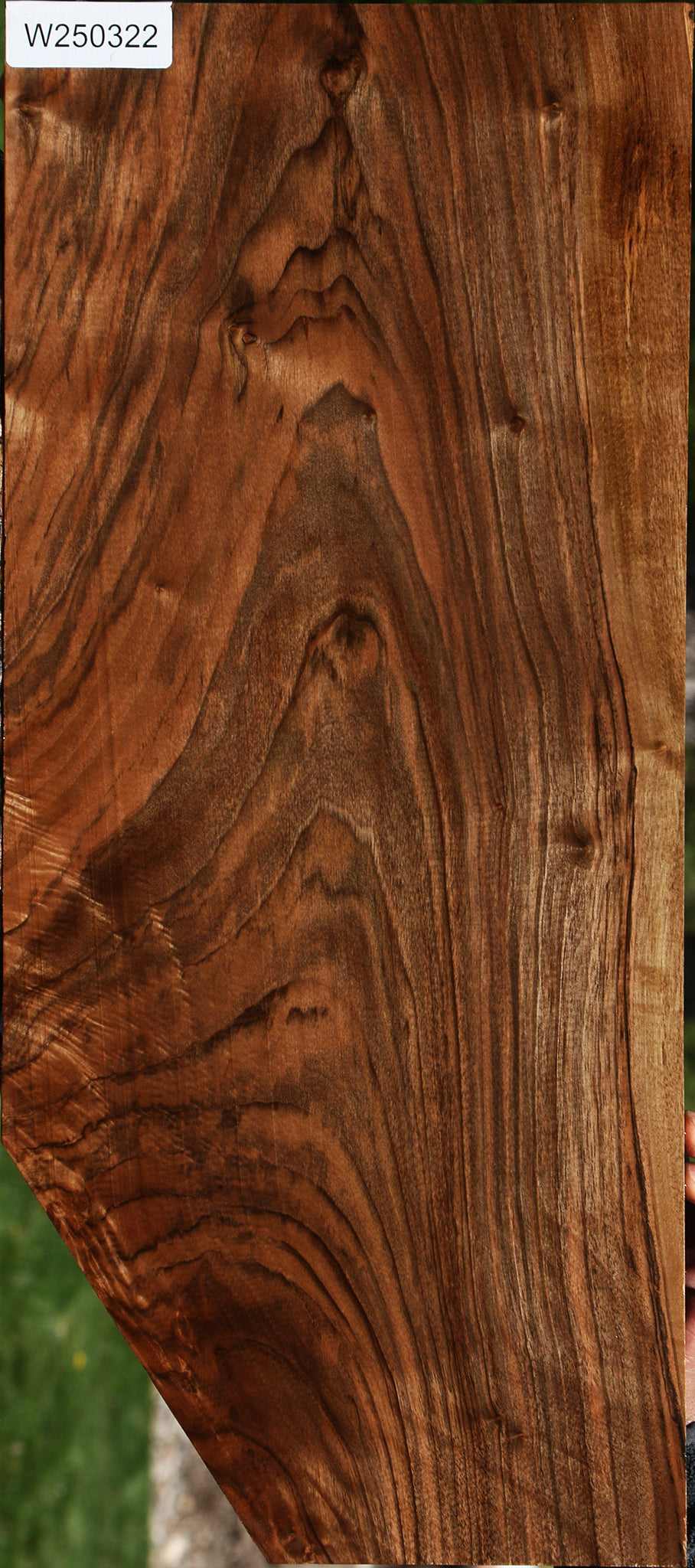Figured English Walnut Instrument Lumber