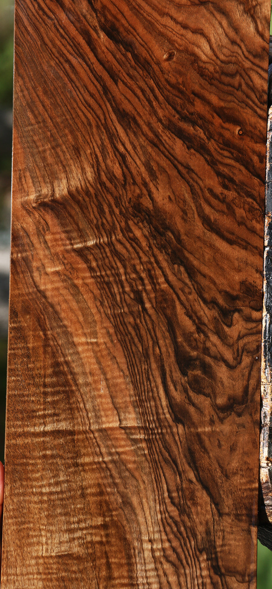 Exhibition English Walnut Instrument Lumber