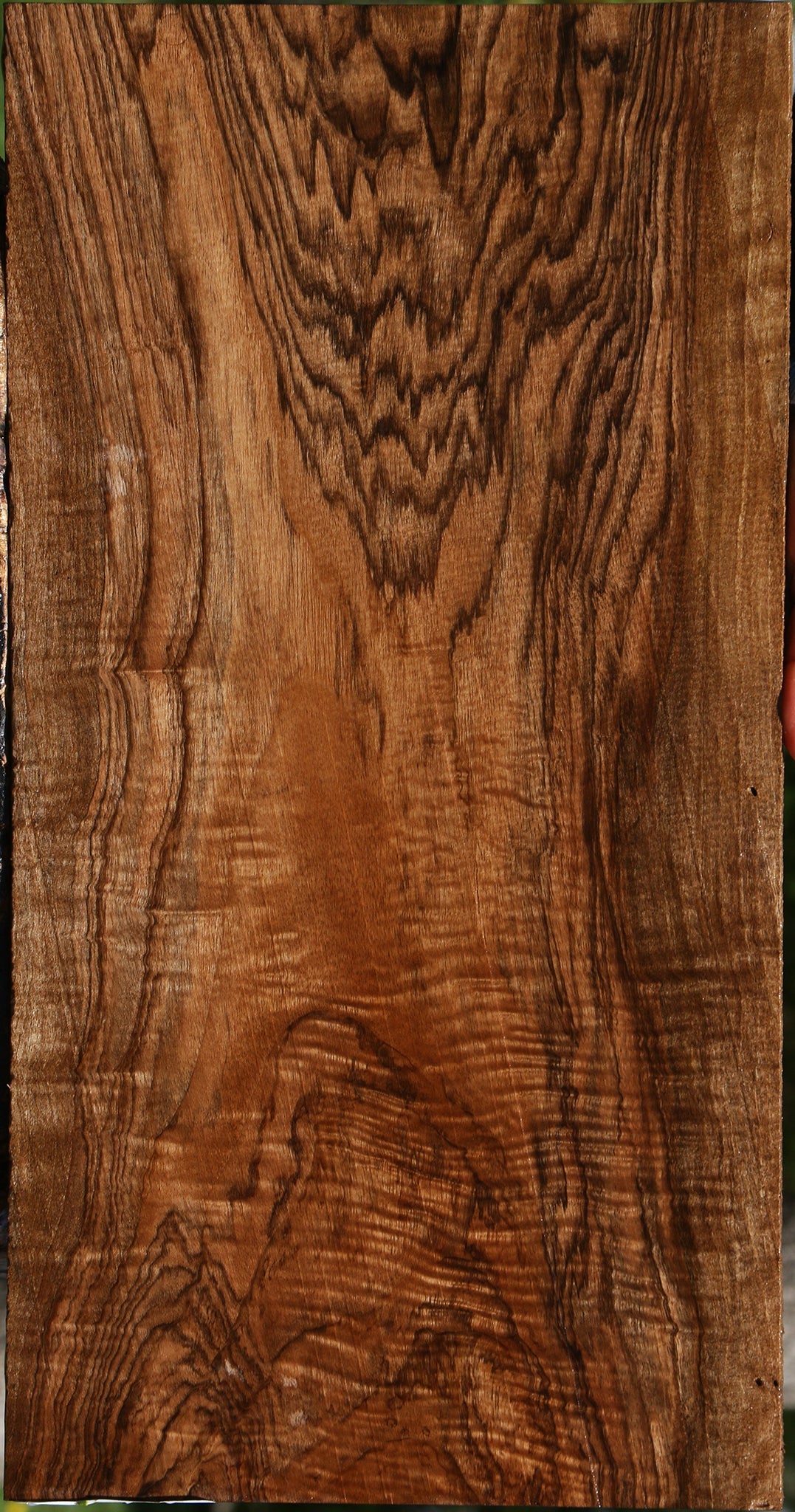 Exhibition English Walnut Micro Lumber