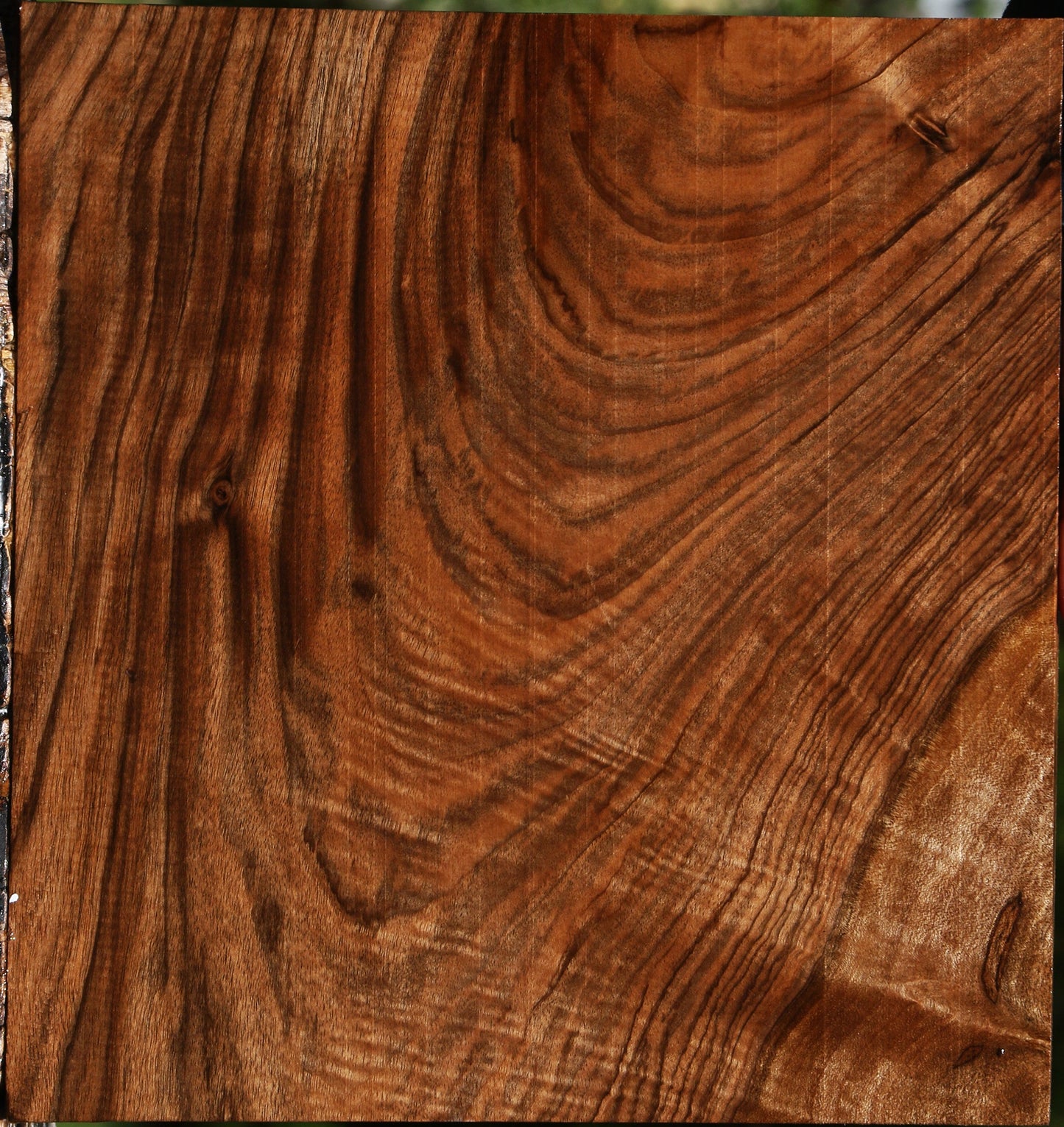 Extra Fancy English Walnut Lumber