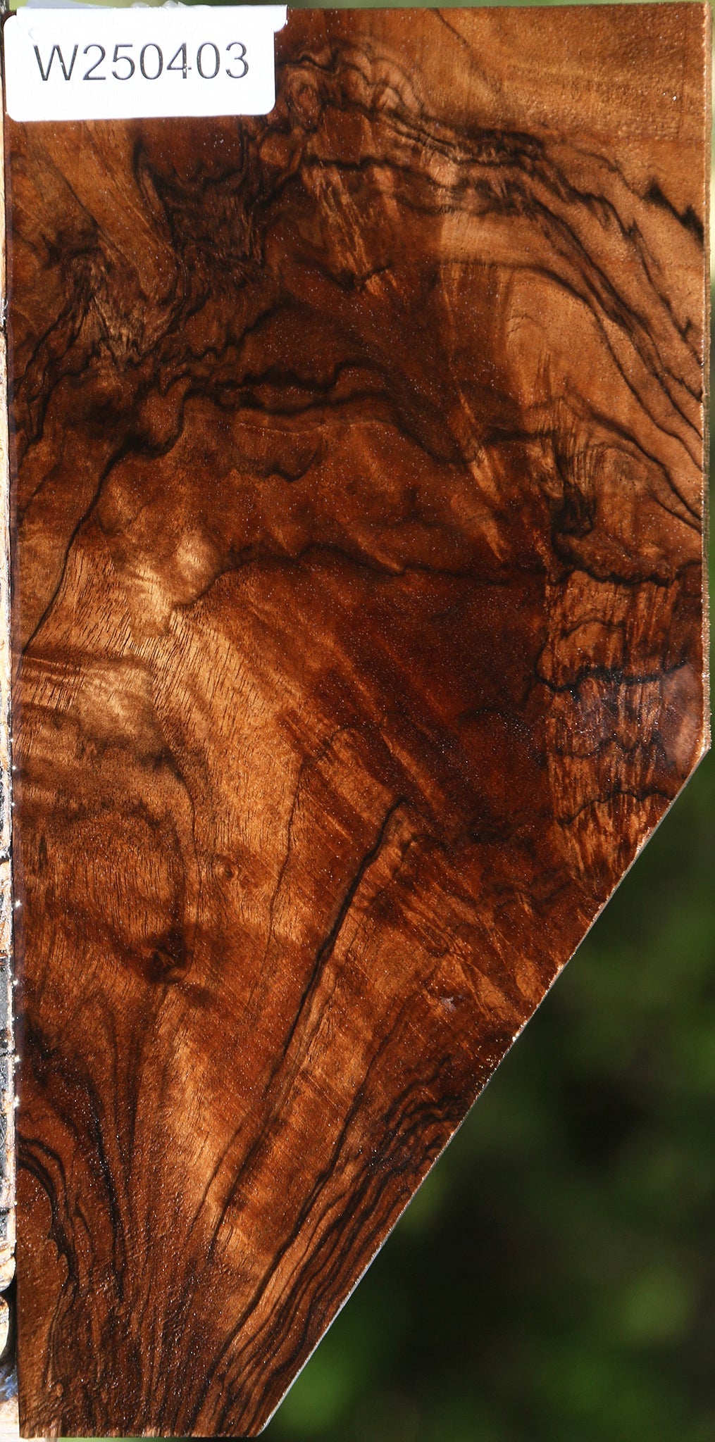 Exhibition English Walnut Lumber