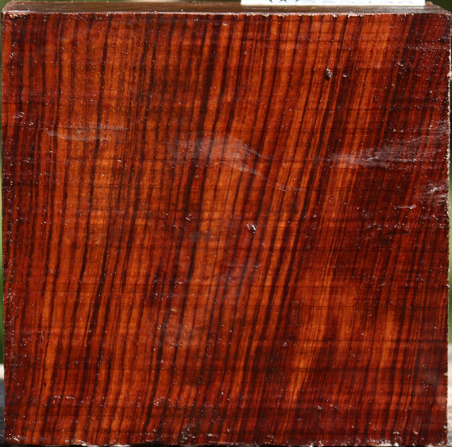 Bubinga Bowl Blank