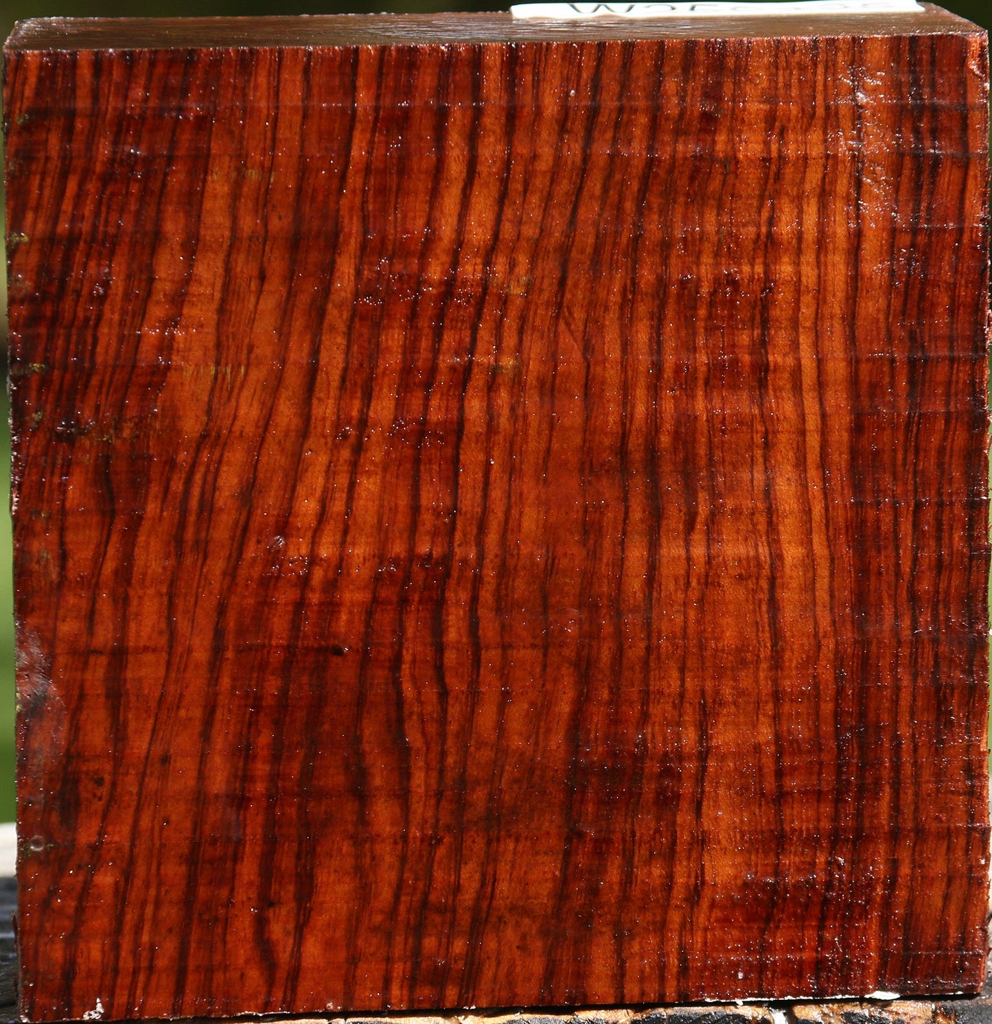 Bubinga Bowl Blank