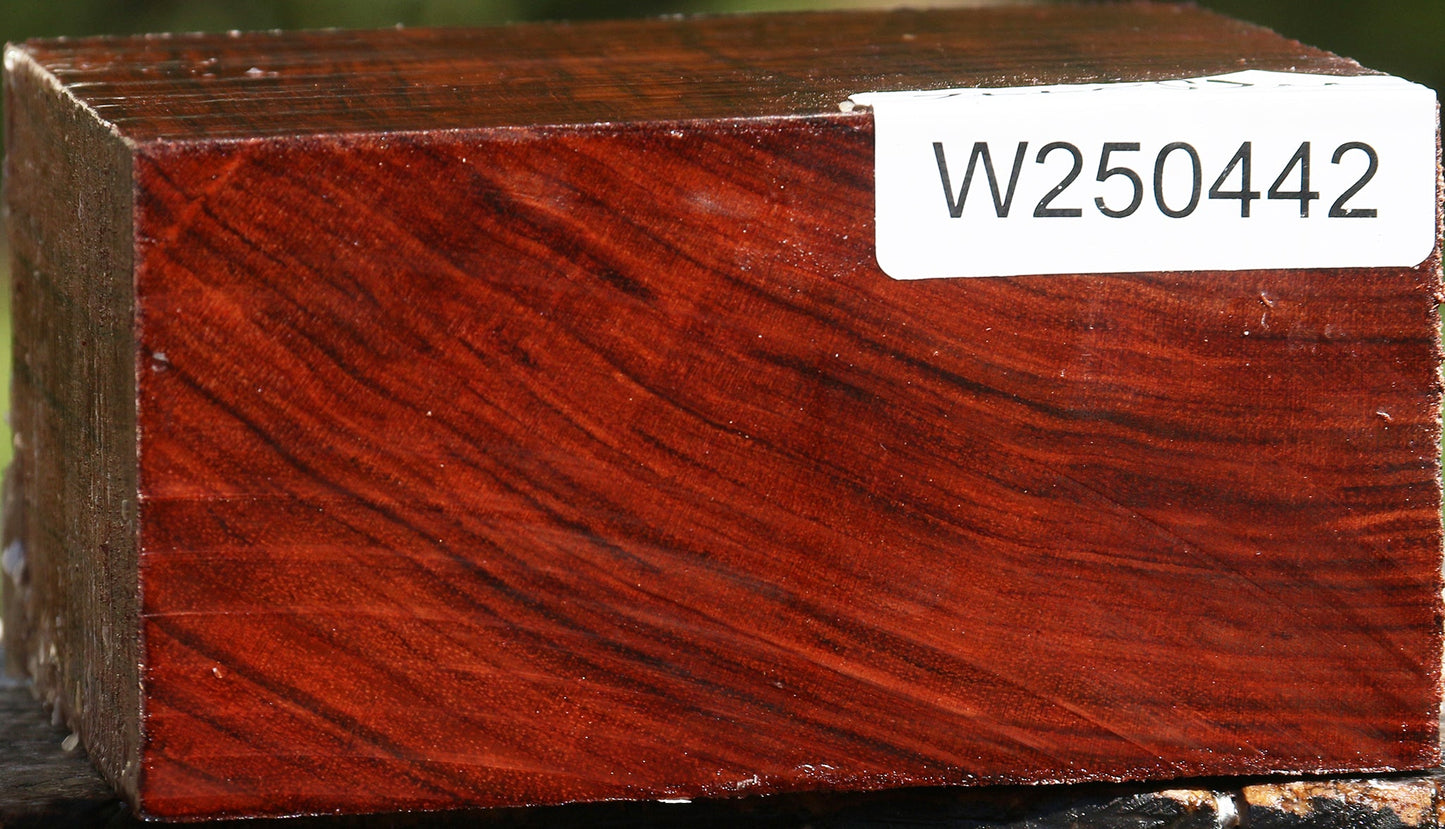 Bubinga Bowl Blank