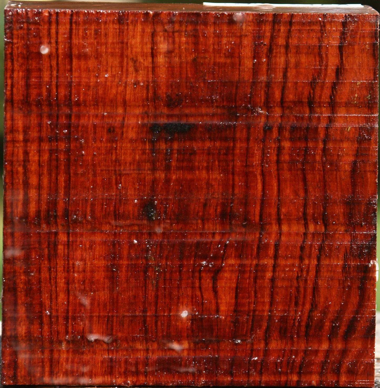 Bubinga Bowl Blank