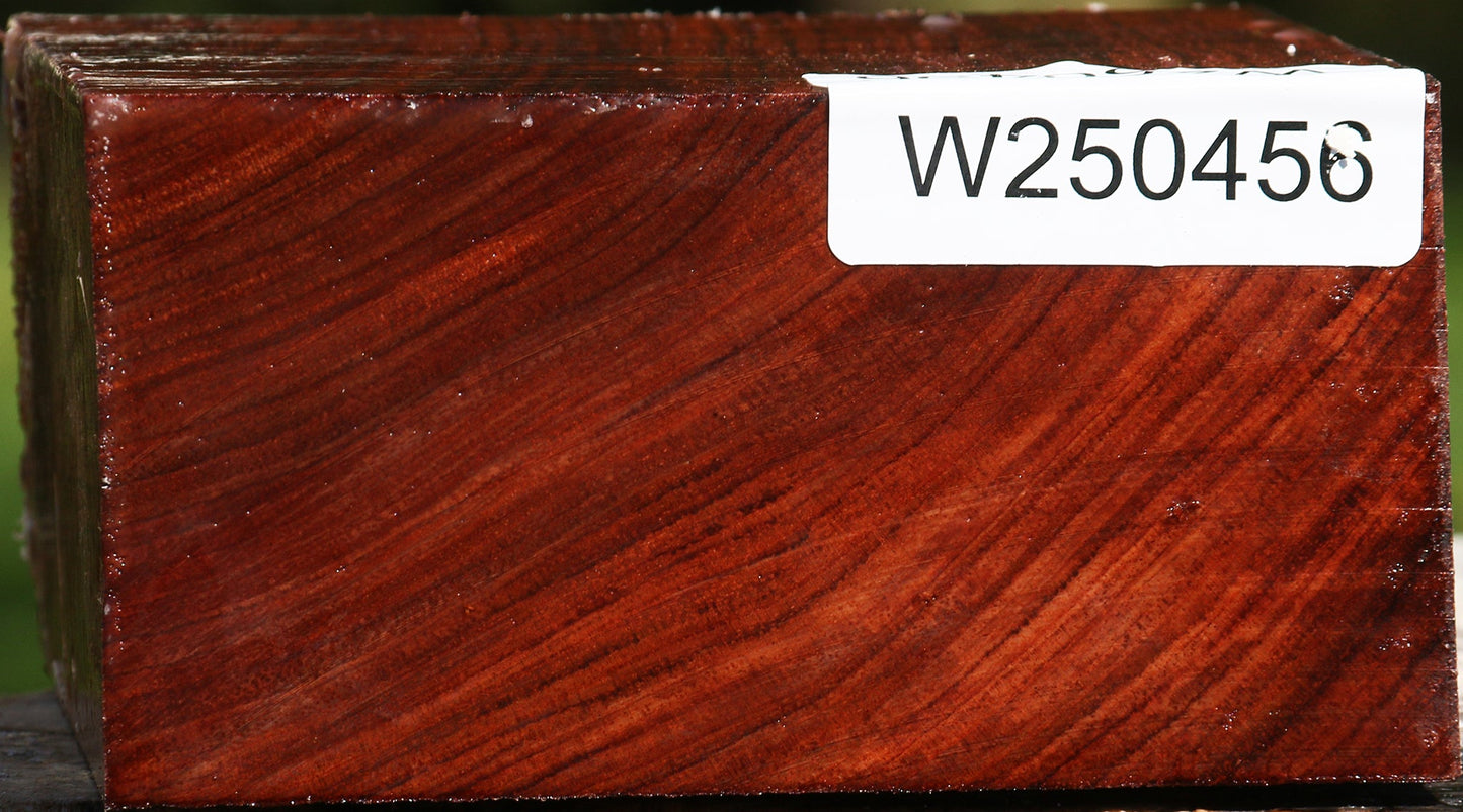 Bubinga Bowl Blank