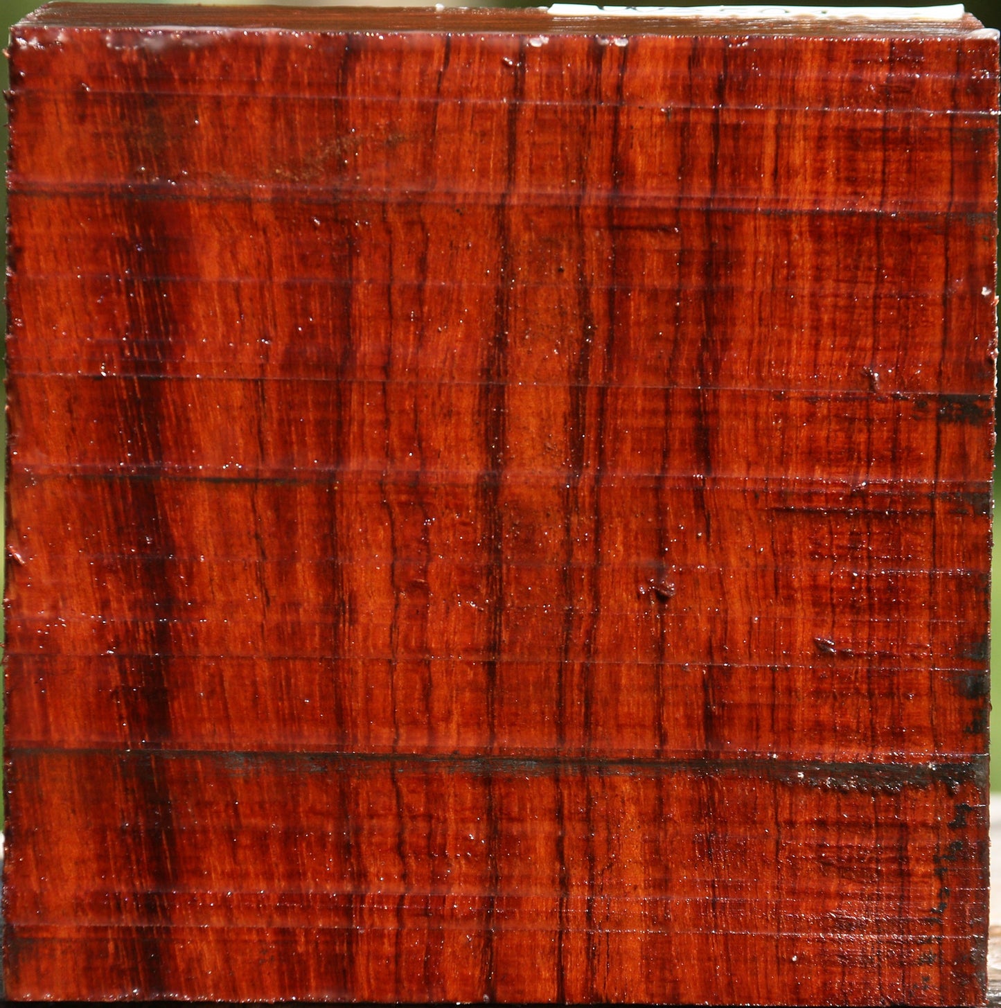 Bubinga Bowl Blank