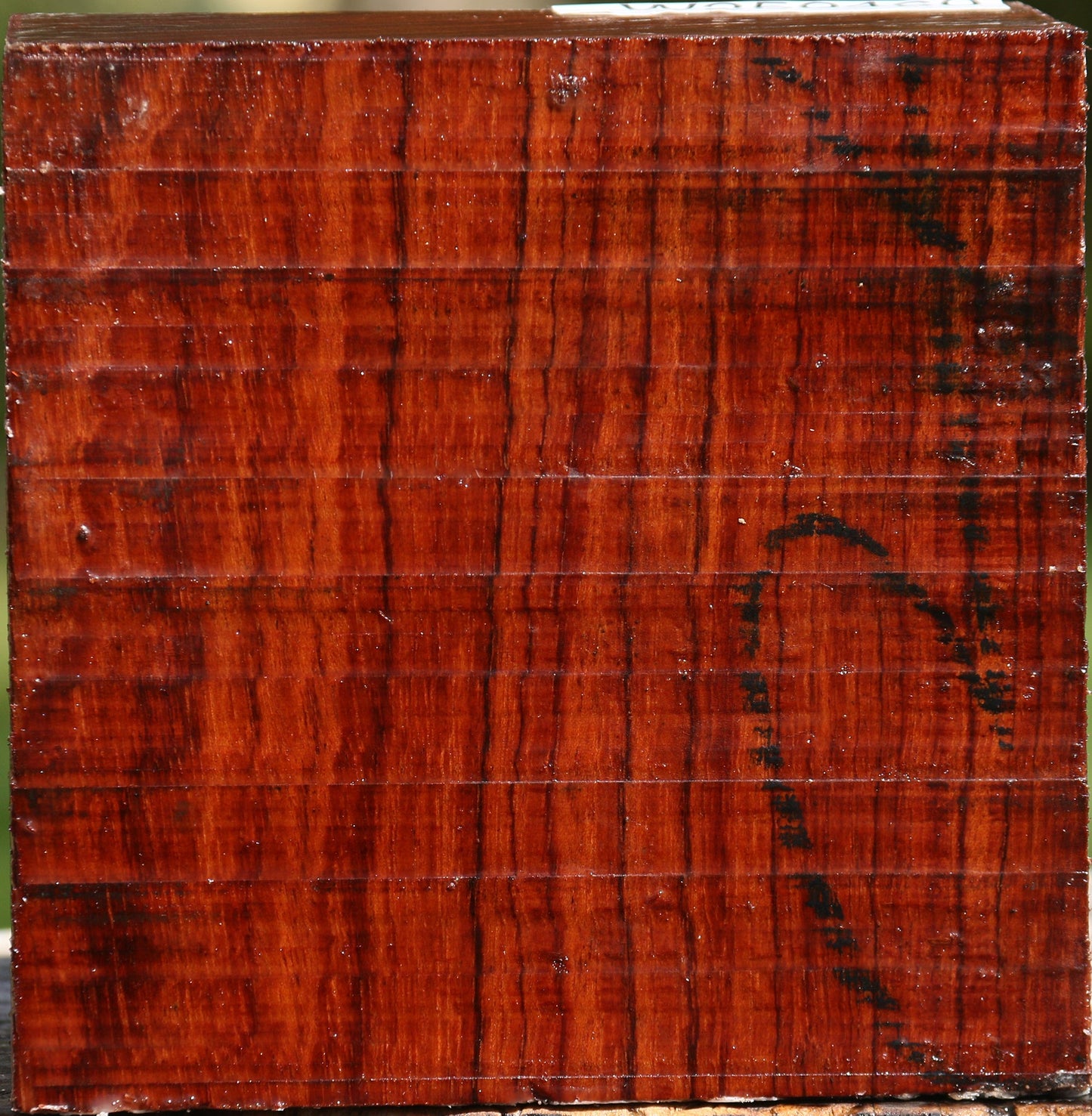 Bubinga Bowl Blank