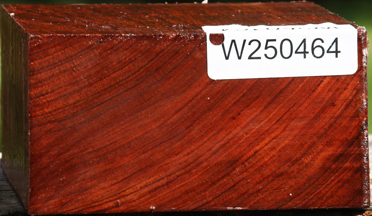 Bubinga Bowl Blank