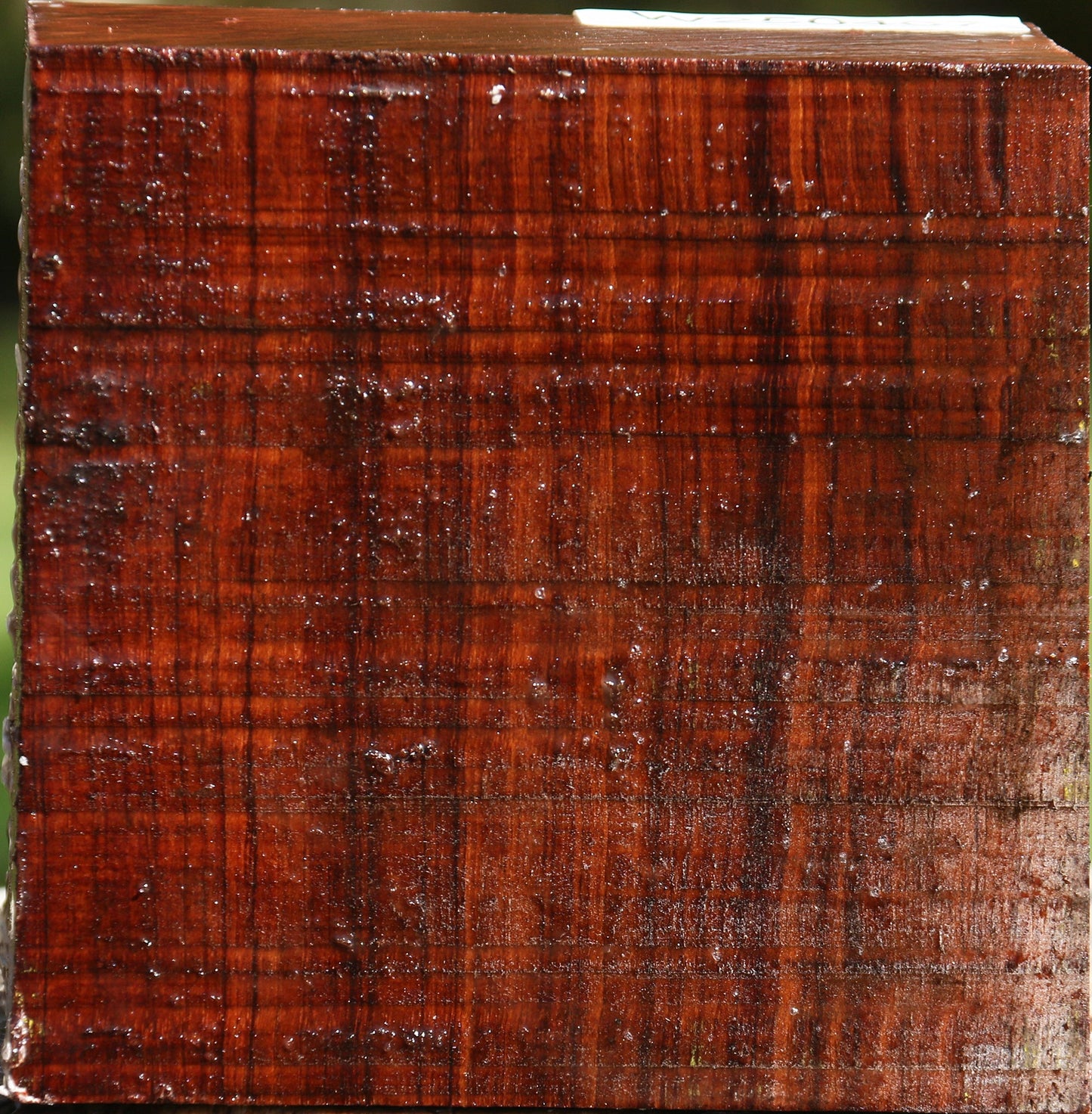 Bubinga Bowl Blank