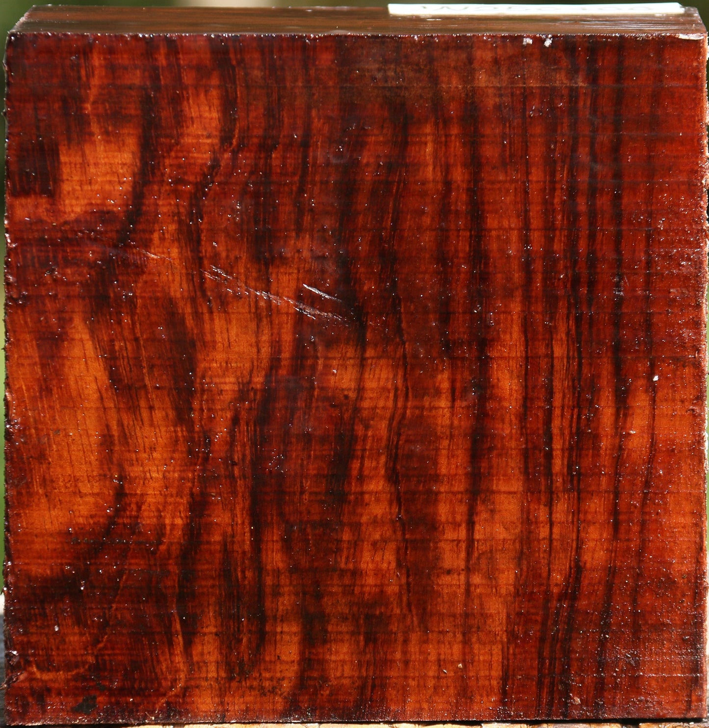 Bubinga Bowl Blank