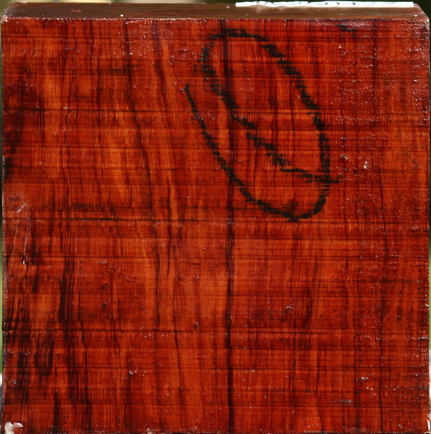 Bubinga Bowl Blank