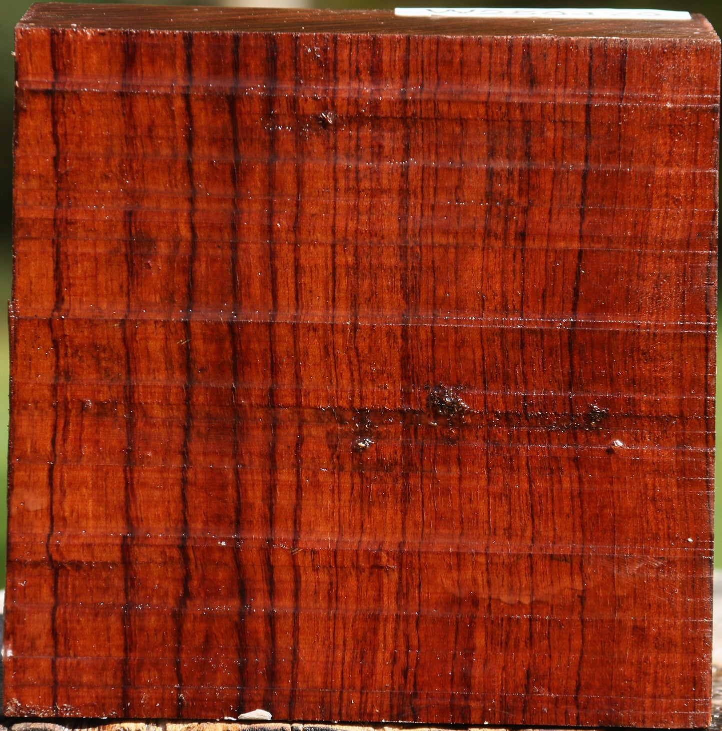Bubinga Bowl Blank