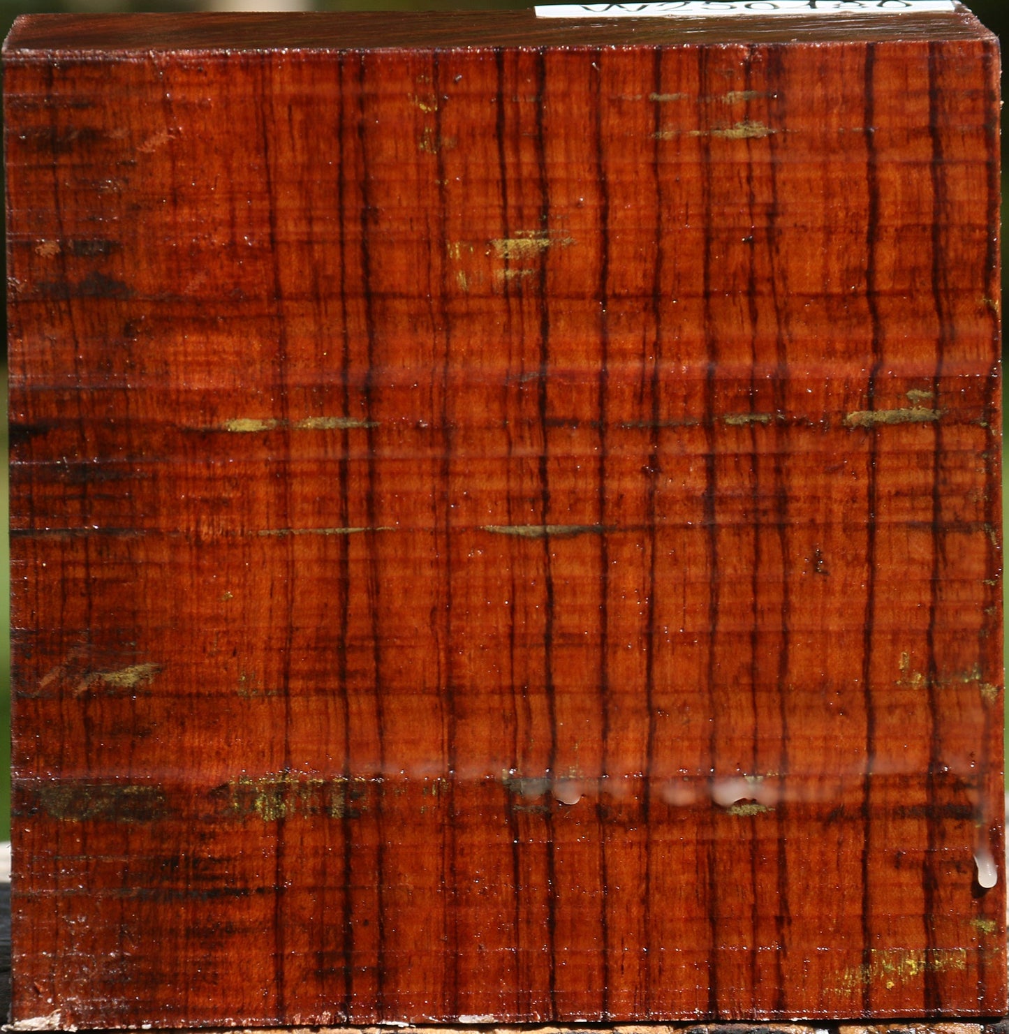 Bubinga Bowl Blank