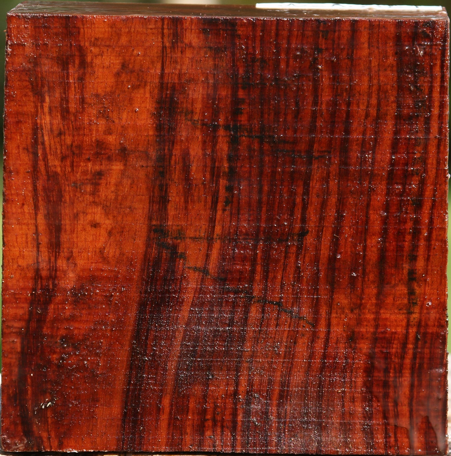 Bubinga Bowl Blank