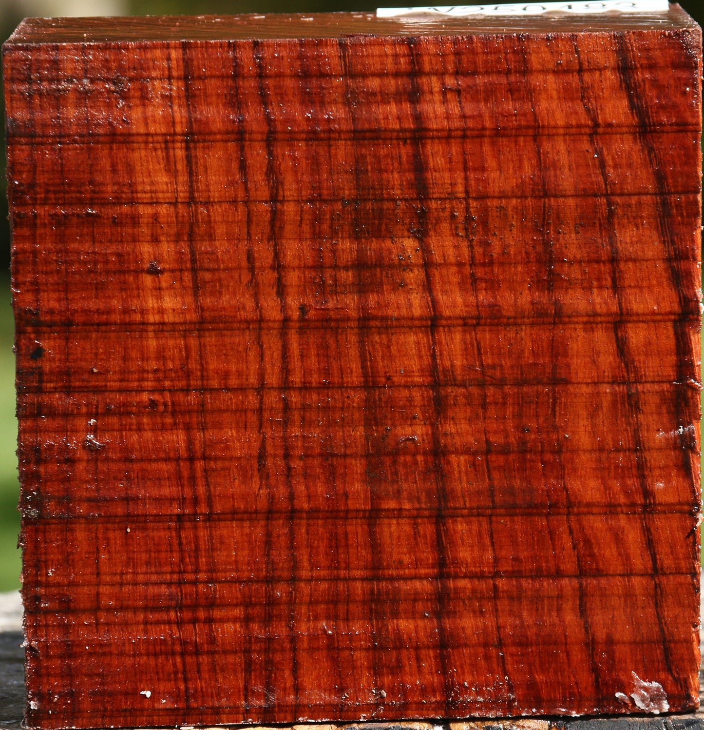 Bubinga Bowl Blank