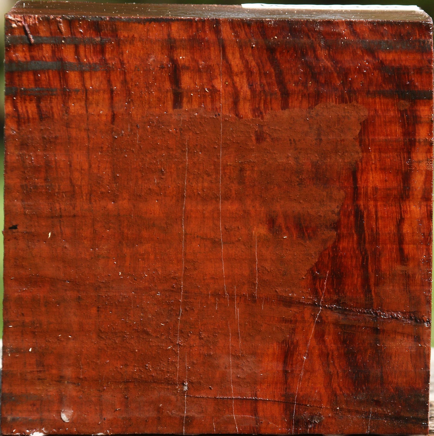 Bubinga Bowl Blank