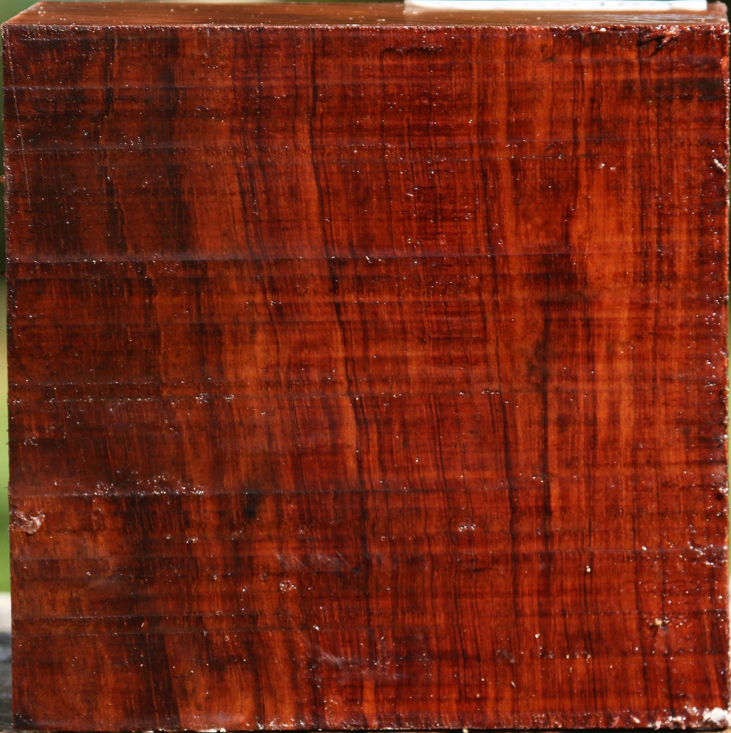Bubinga Bowl Blank