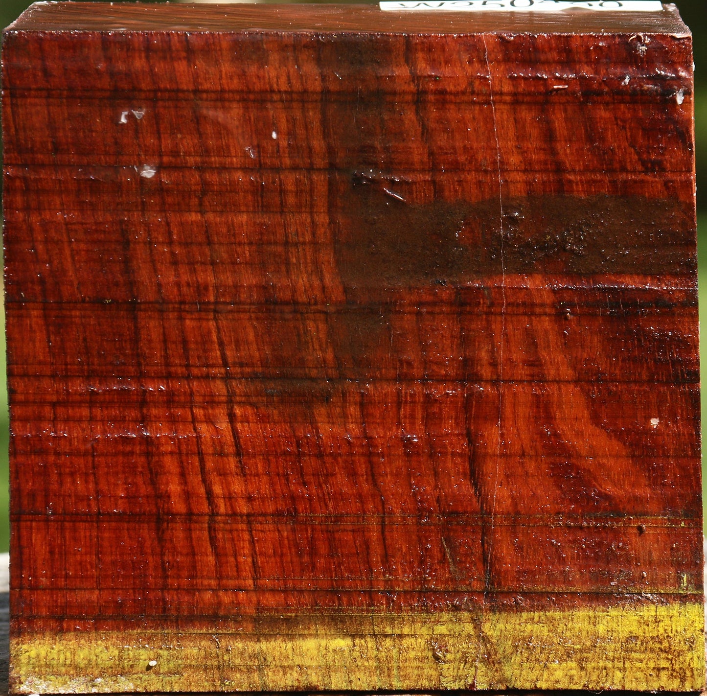 Bubinga Bowl Blank