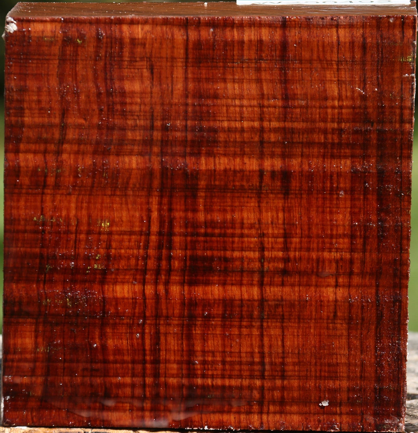 Bubinga Bowl Blank