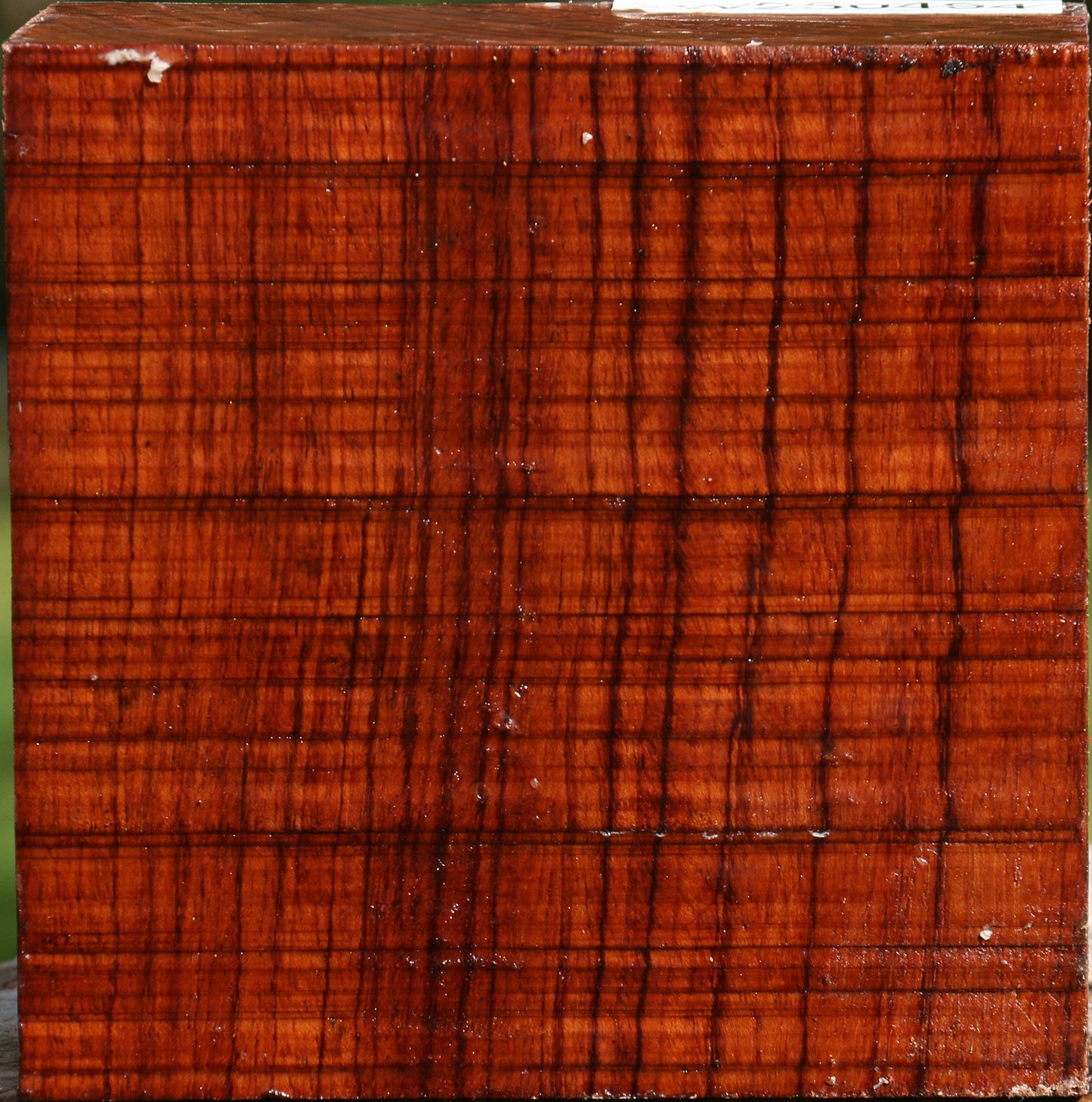 Bubinga Bowl Blank