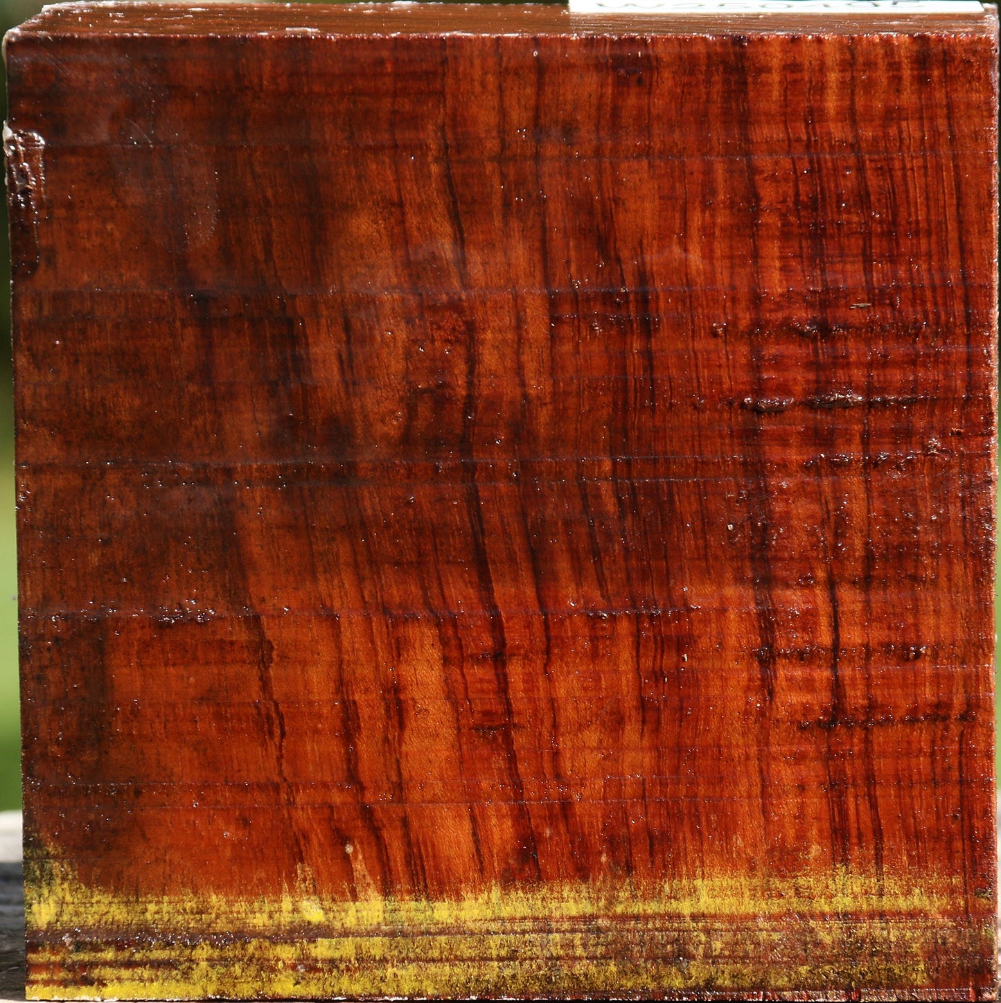 Bubinga Bowl Blank