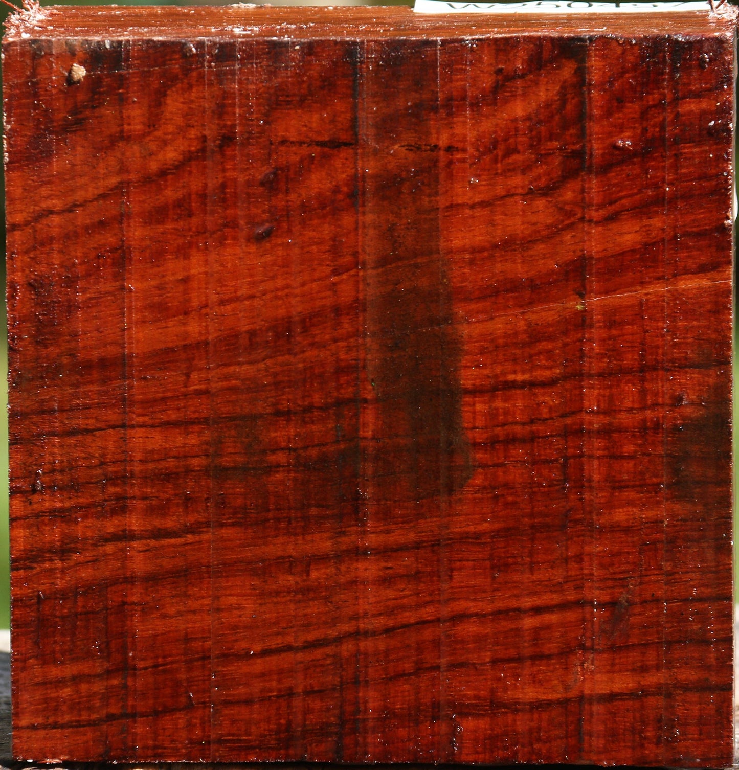 Bubinga Bowl Blank