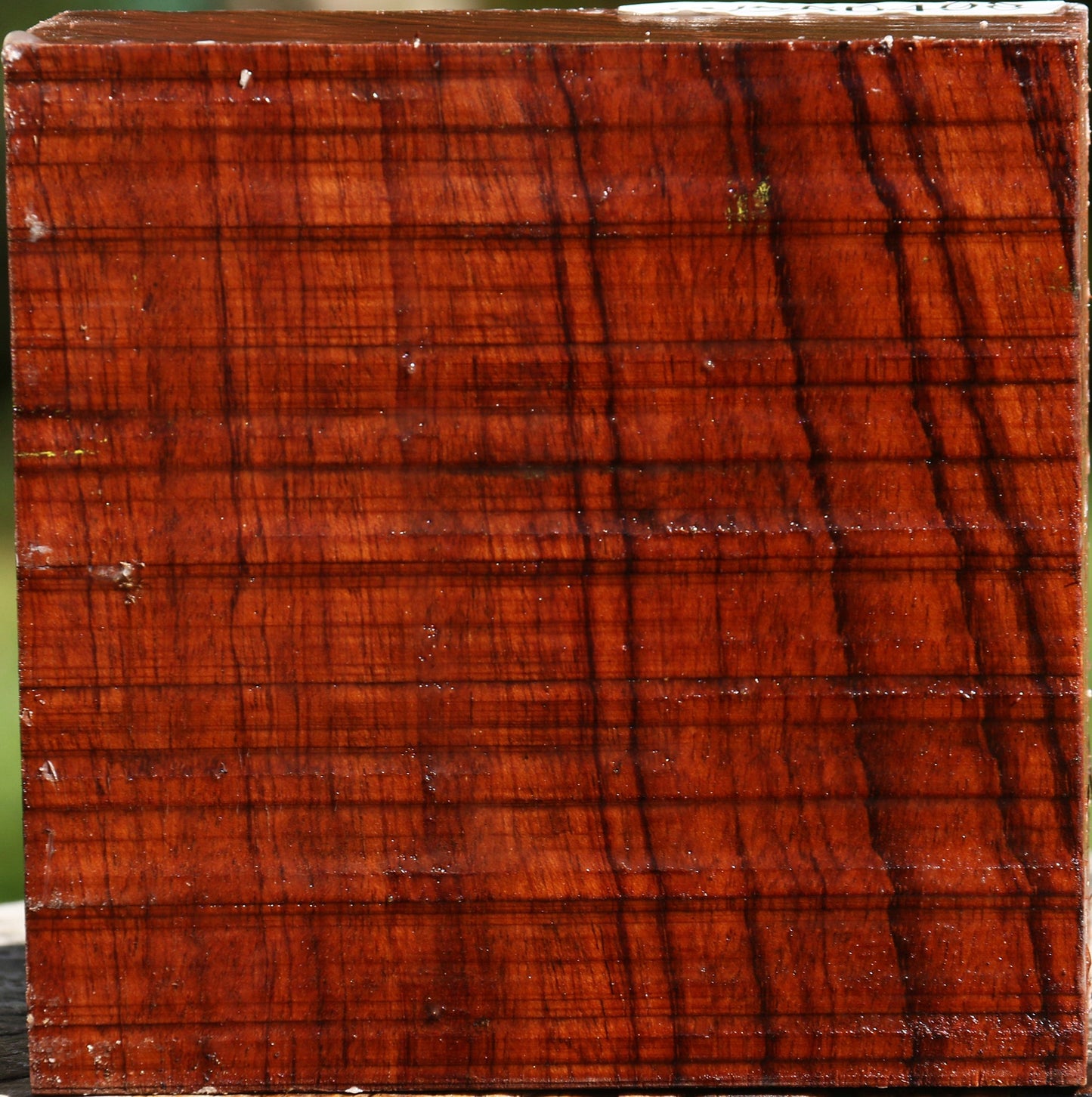 Bubinga Bowl Blank