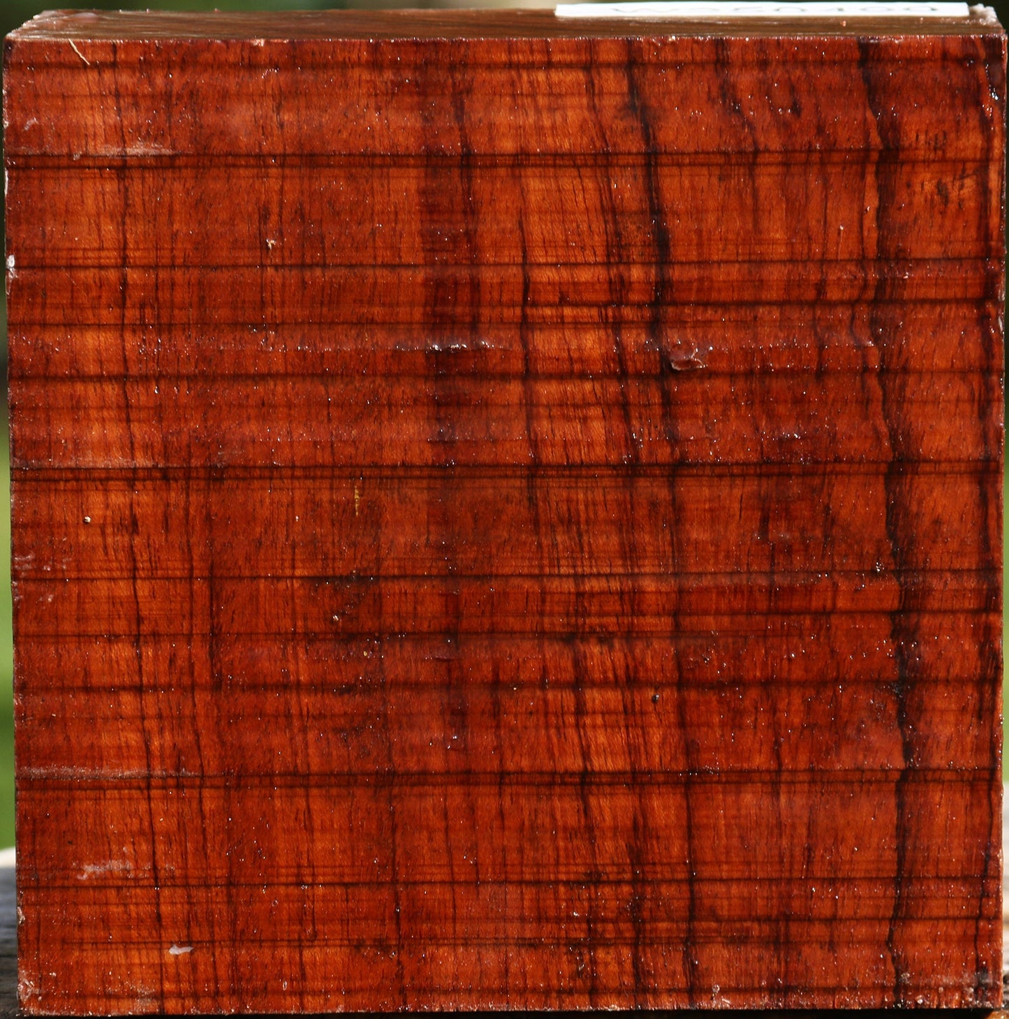 Bubinga Bowl Blank