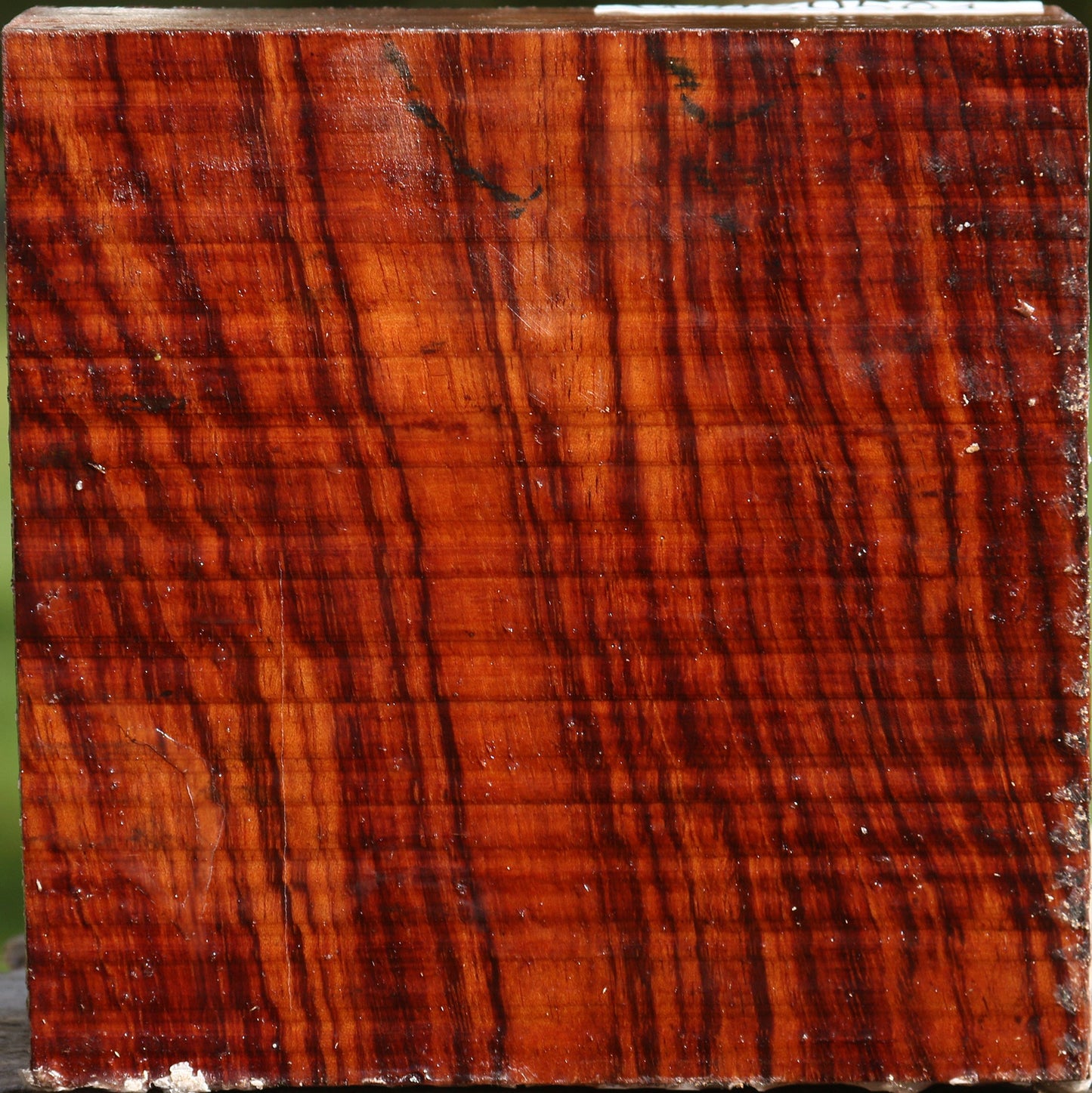 Bubinga Bowl Blank