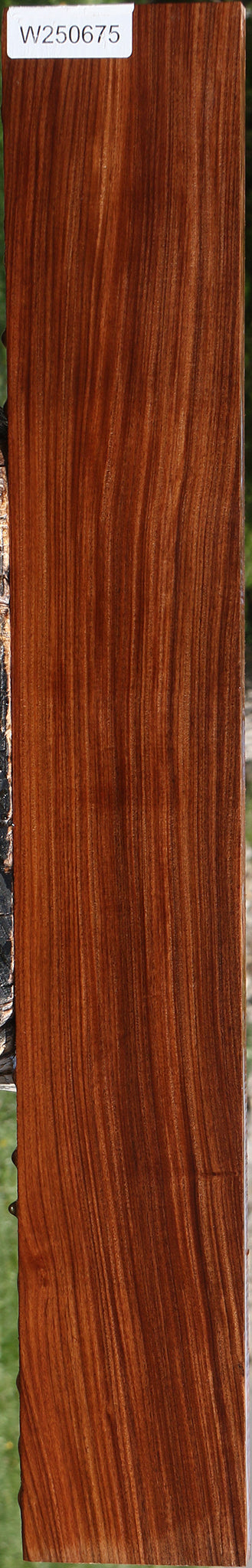 Figured Quartersawn Bolivian Rosewood Lumber