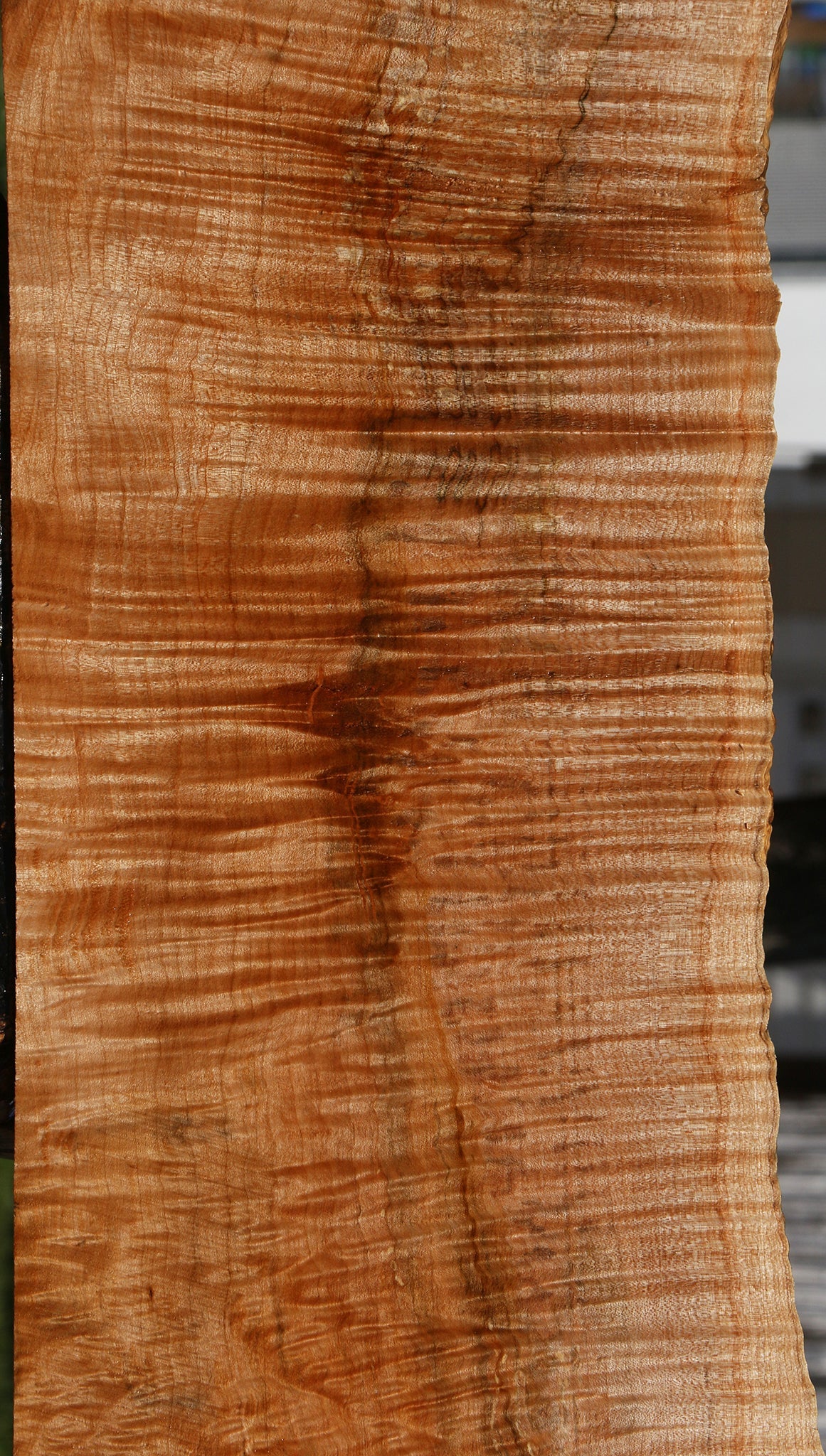 Extra Fancy Maple Instrument Live Edge Lumber