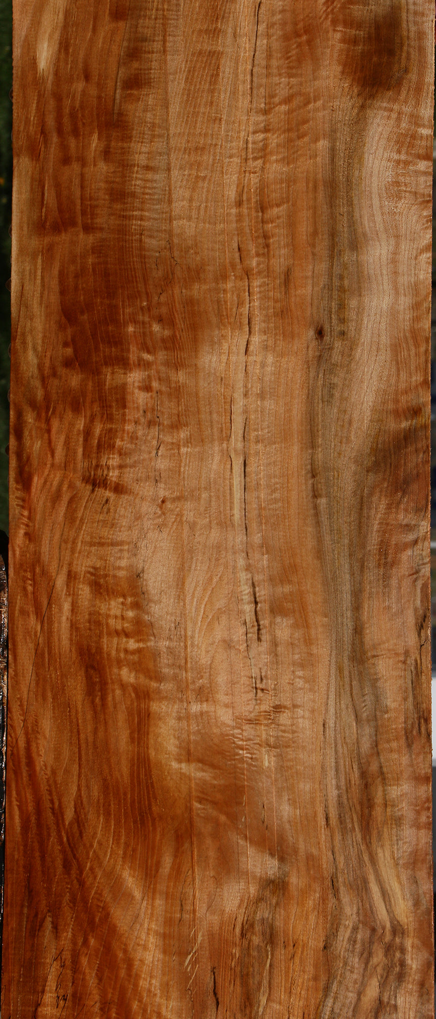 Extra Fancy Maple Lumber