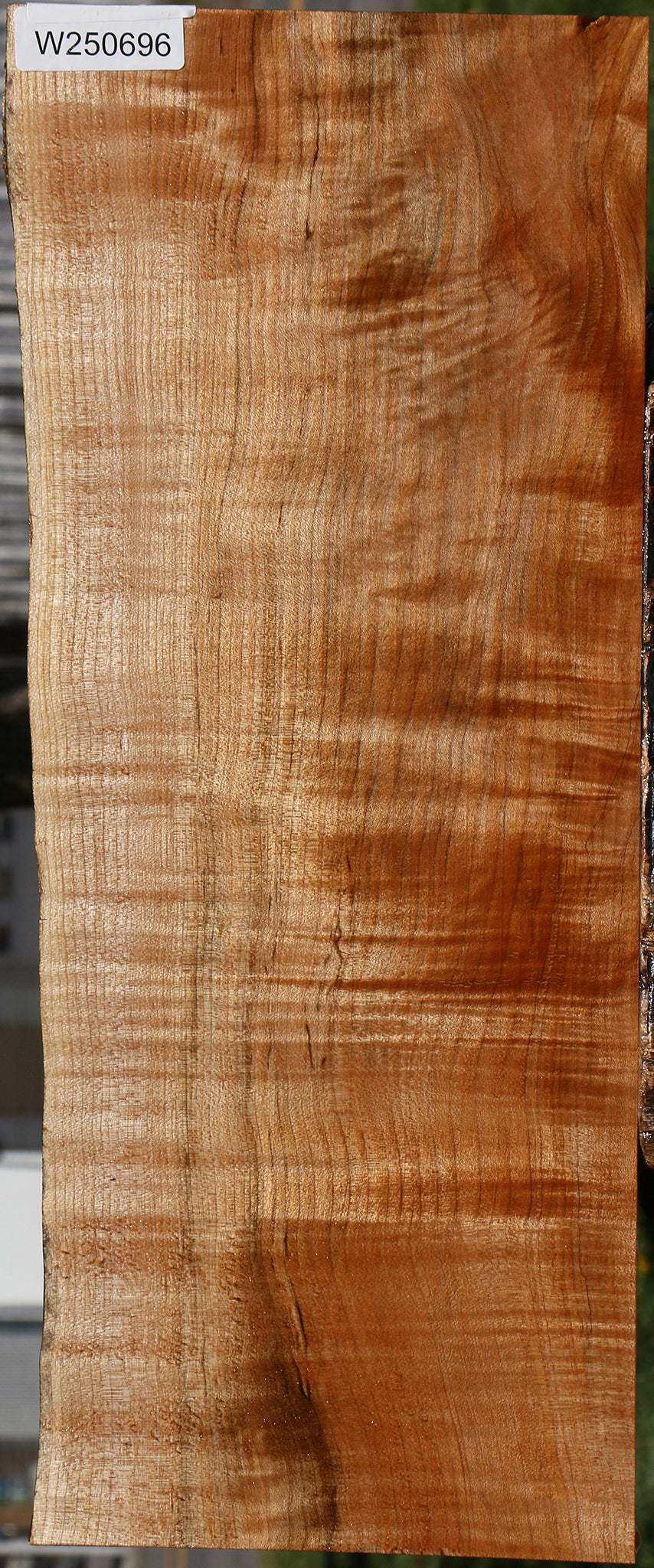 Extra Fancy Maple Instrument Live Edge Lumber