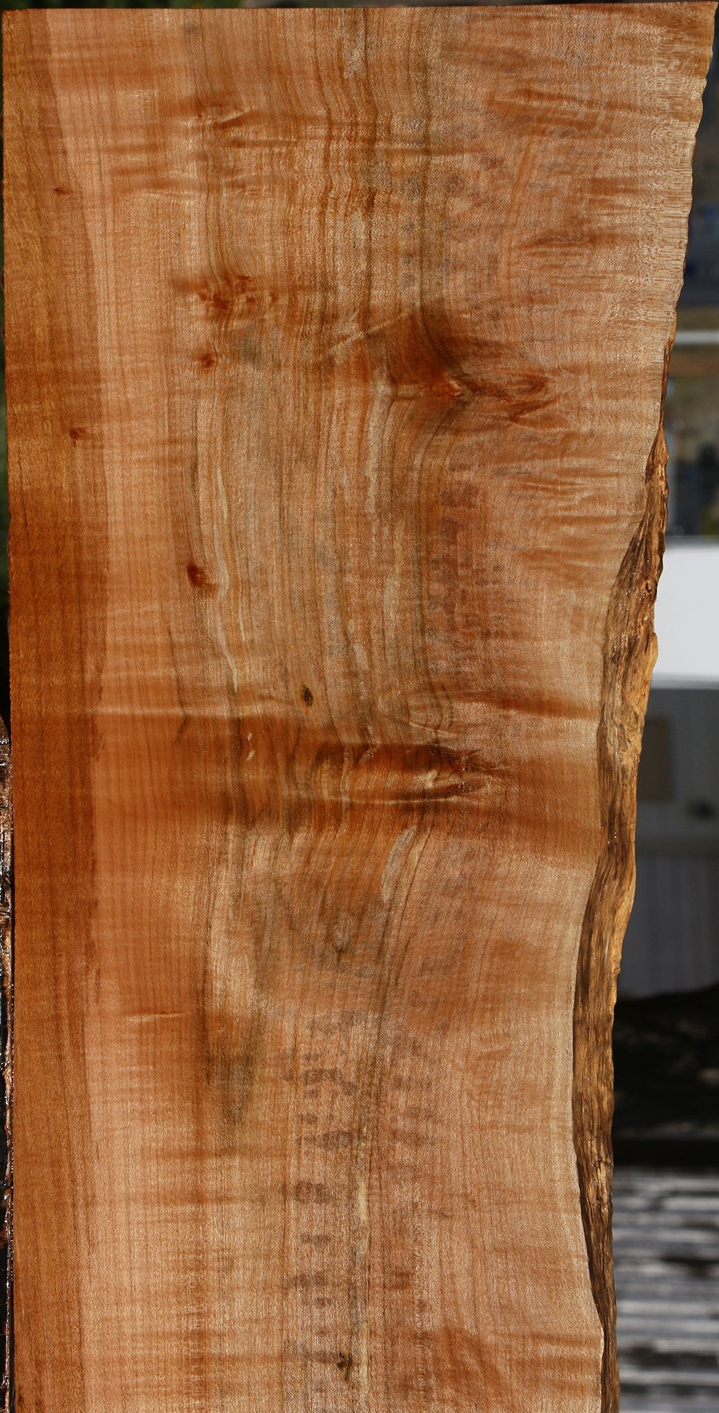 Extra Fancy Maple Live Edge Lumber