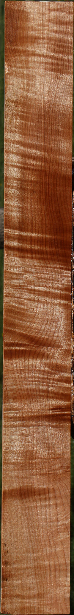 Extra Fancy Maple Lumber