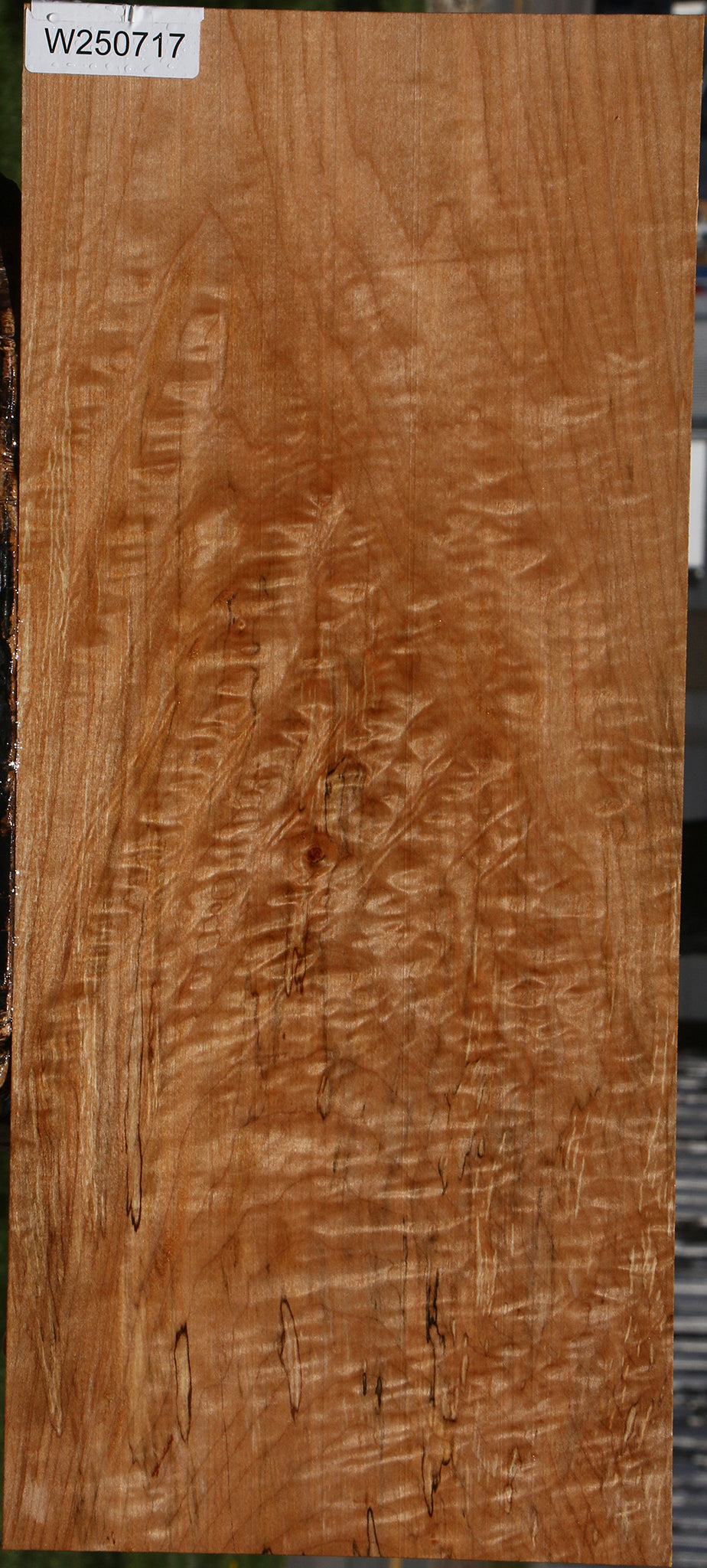 Extra Fancy Maple instrument Lumber
